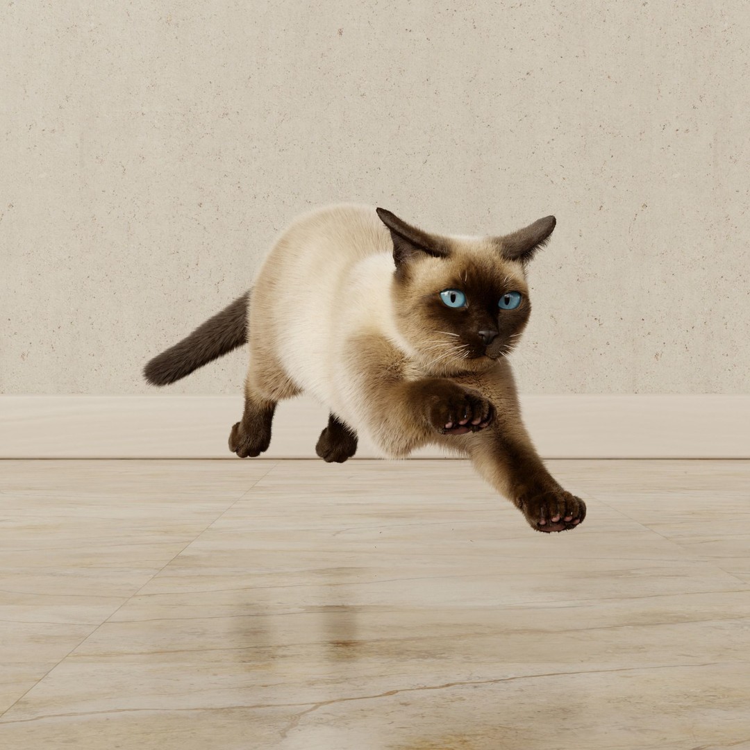 Siamese Cat 3D Model – Rigged Animated Character with PBR Textures - View 19