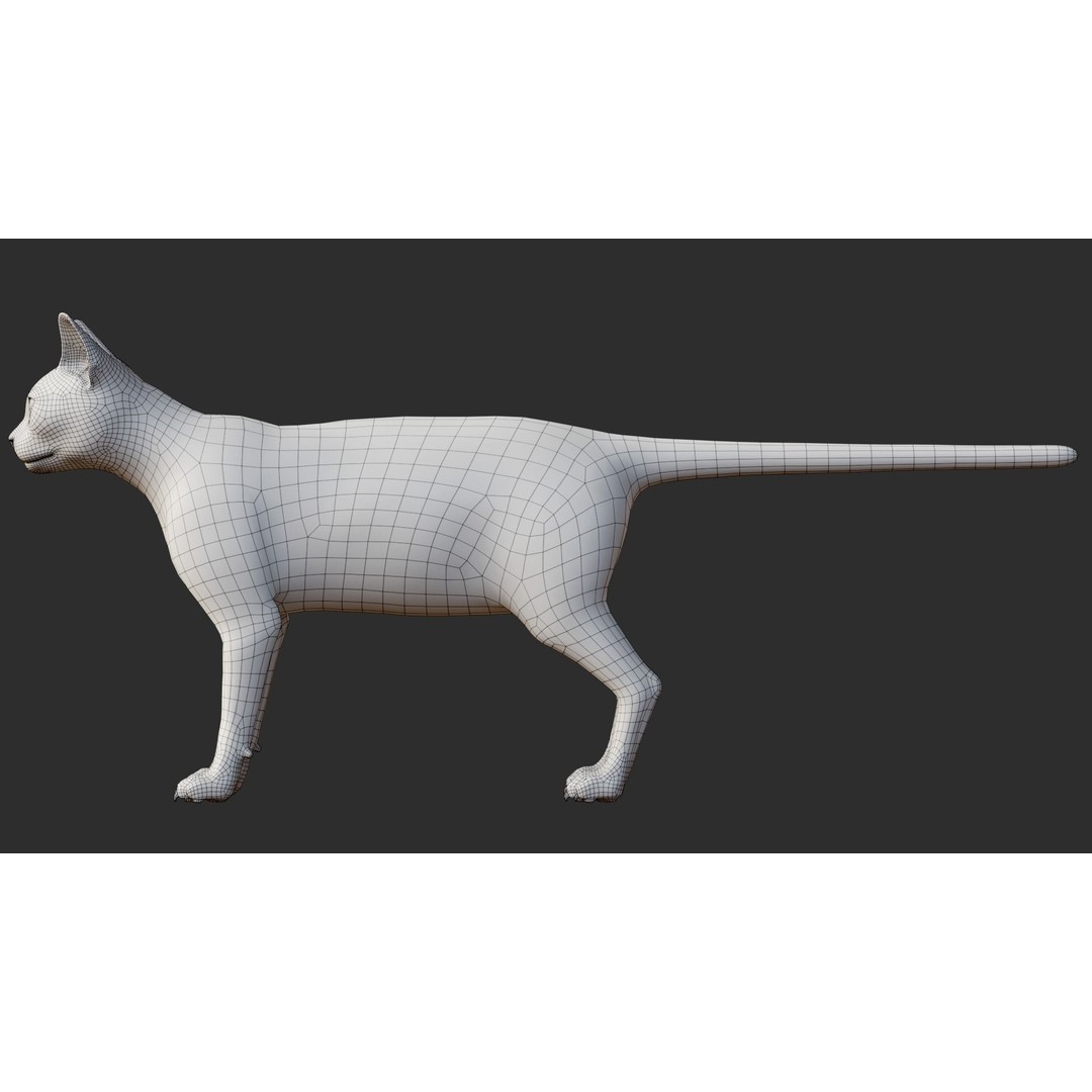 Siamese Cat 3D Model – Rigged Animated Character with PBR Textures - View 22