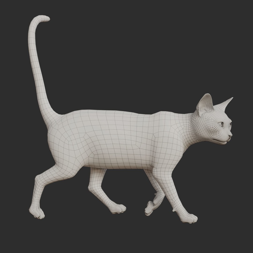 Siamese Cat 3D Model – Rigged Animated Character with PBR Textures - View 23