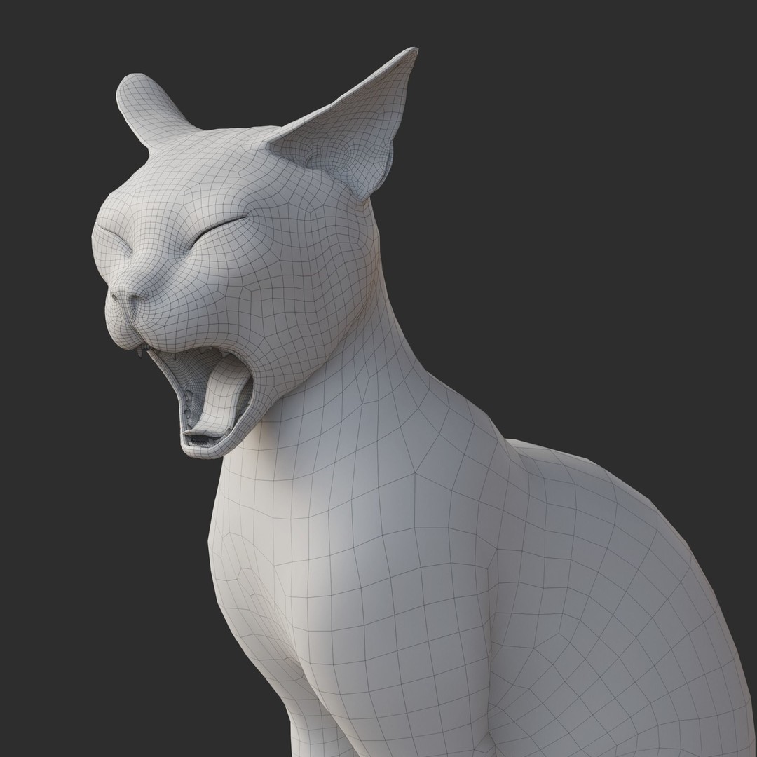Siamese Cat 3D Model – Rigged Animated Character with PBR Textures - View 24