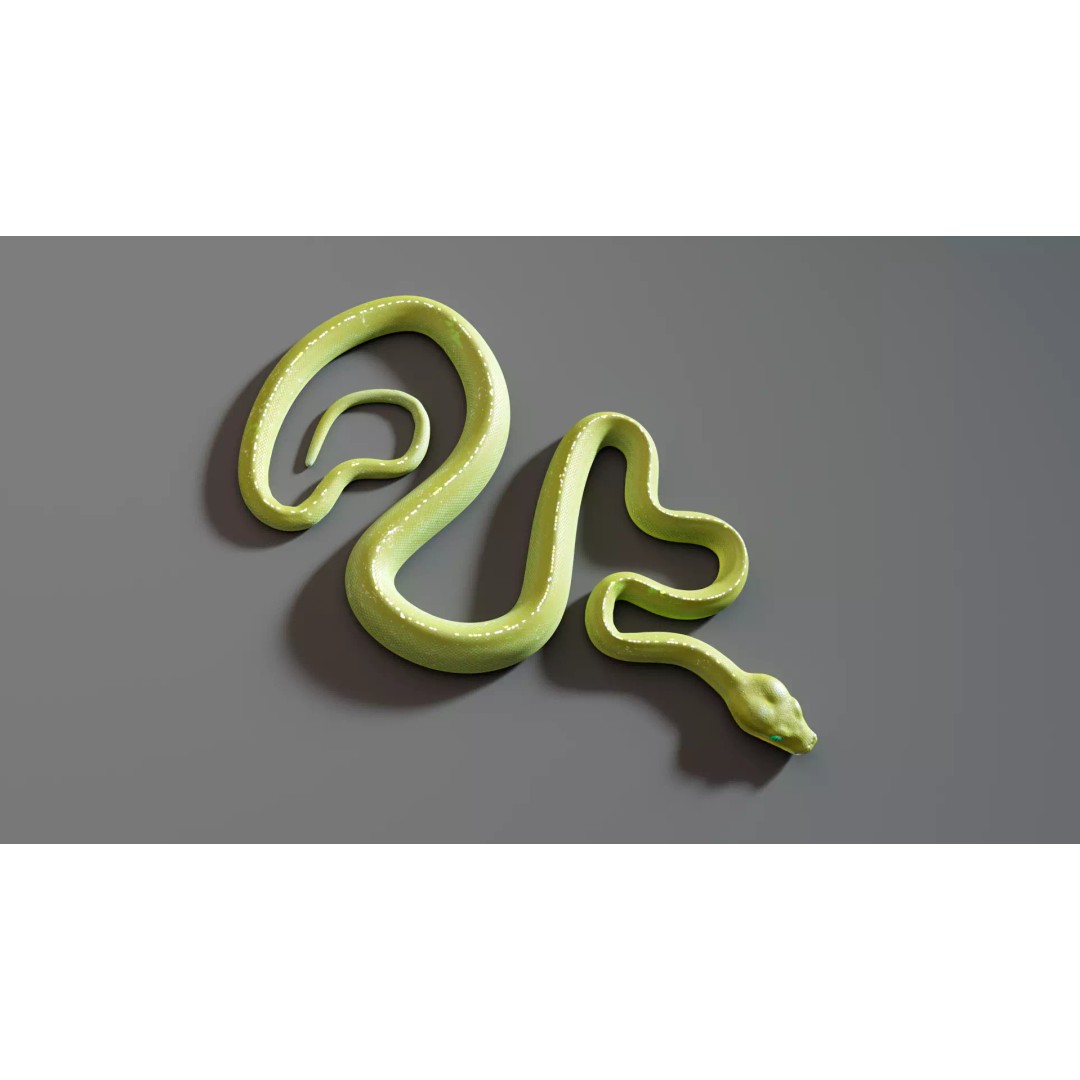 Python 3D Model – Low Poly Collection with Rigged Poses, FBX - View 11