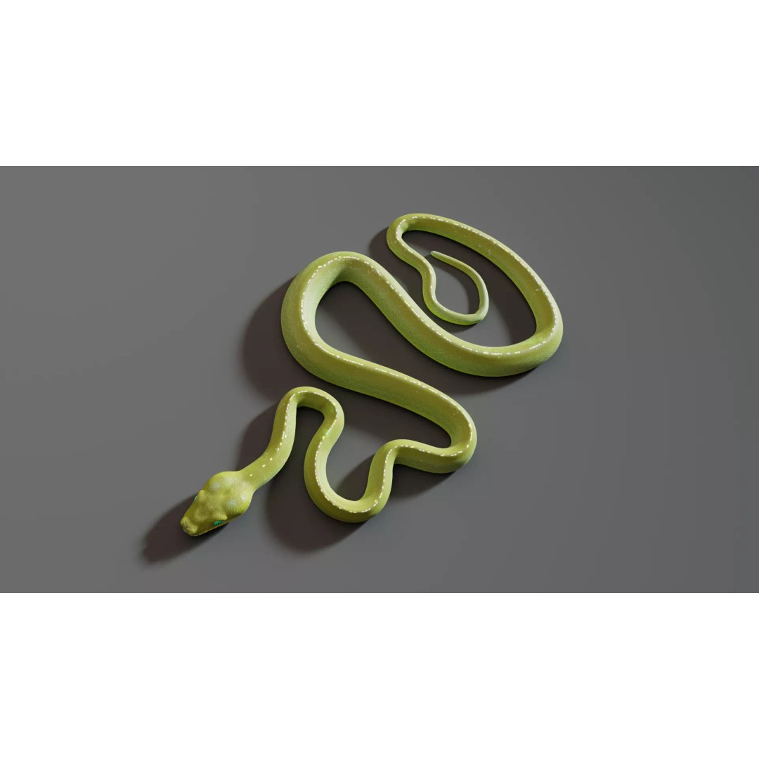 Python 3D Model – Low Poly Collection with Rigged Poses, FBX - View 12