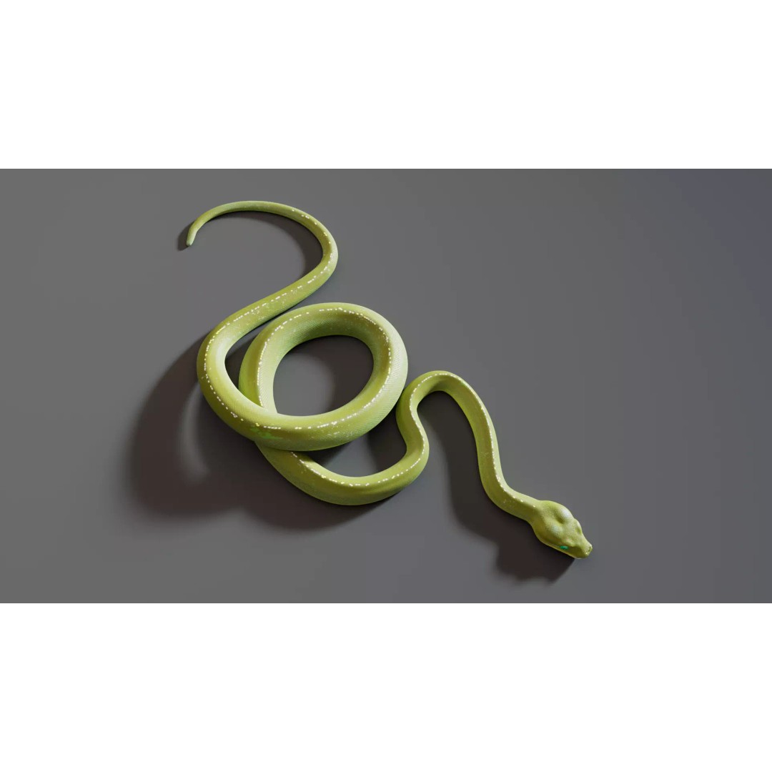 Python 3D Model – Low Poly Collection with Rigged Poses, FBX - View 13
