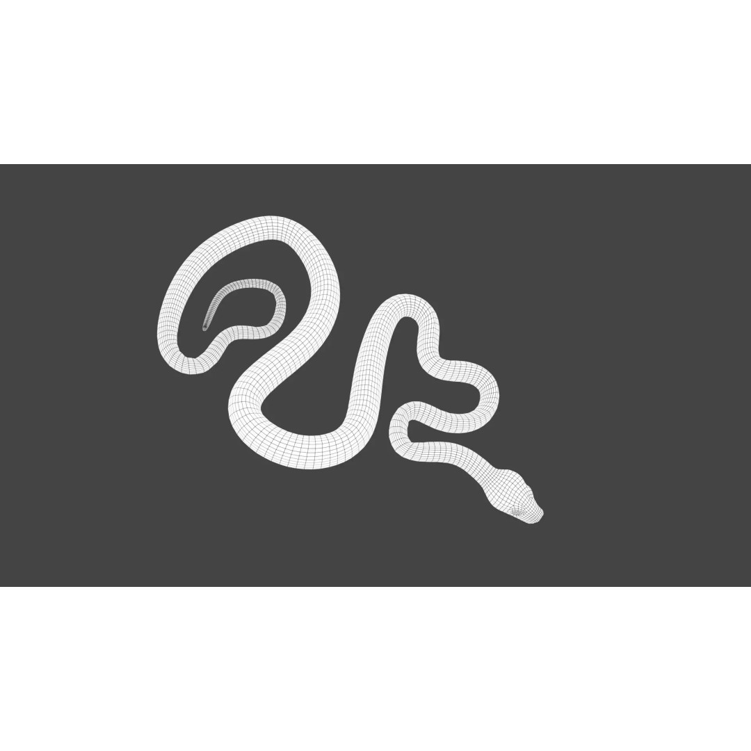 Python 3D Model – Low Poly Collection with Rigged Poses, FBX - View 14