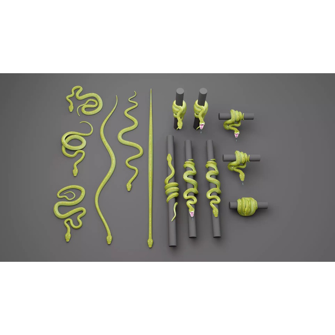 Python 3D Model – Low Poly Collection with Rigged Poses, FBX - View 3