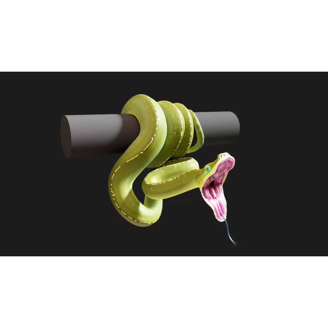 Python 3D Model – Low Poly Collection with Rigged Poses, FBX - View 4