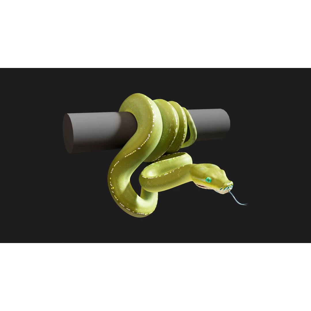 Python 3D Model – Low Poly Collection with Rigged Poses, FBX - View 5