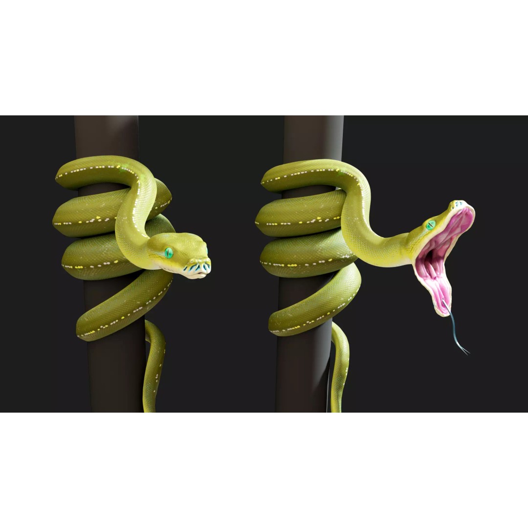 Python 3D Model – Low Poly Collection with Rigged Poses, FBX - View 6