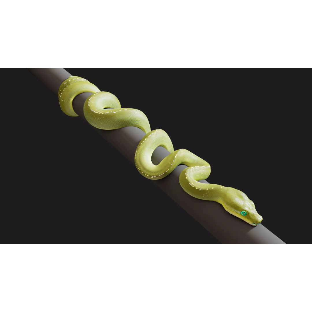Python 3D Model – Low Poly Collection with Rigged Poses, FBX - View 8