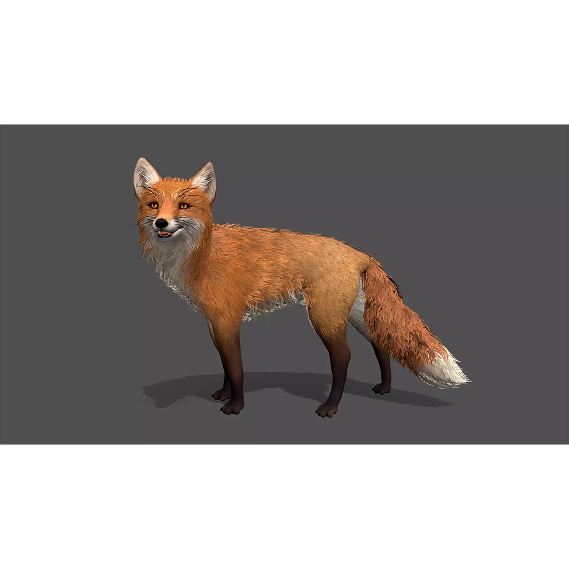 Ultimate 3D Animal Pack - Low-Poly Game-Ready 3D Model
