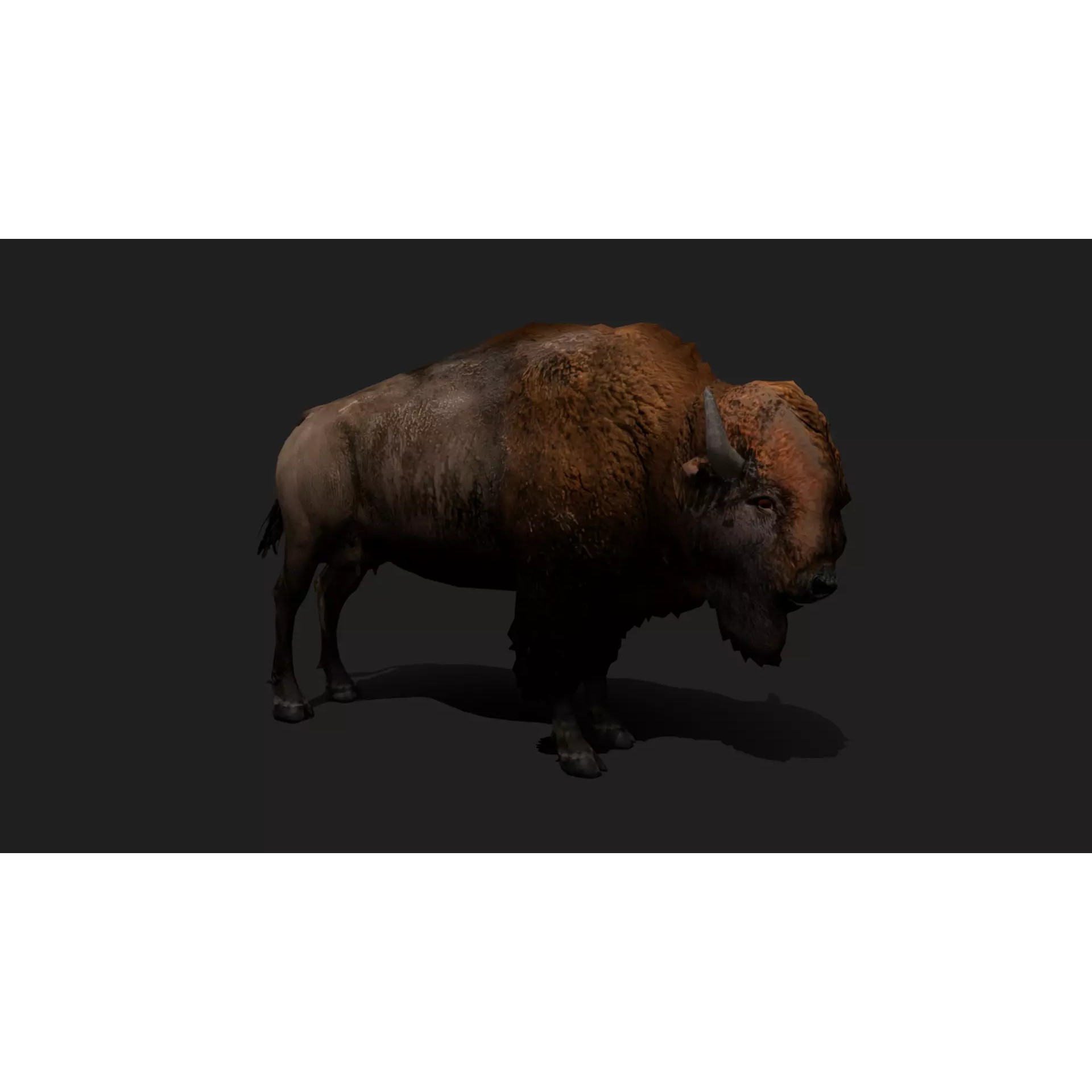 Ultimate 3D Animal Pack - Low-Poly Game-Ready 3D Model - View 11