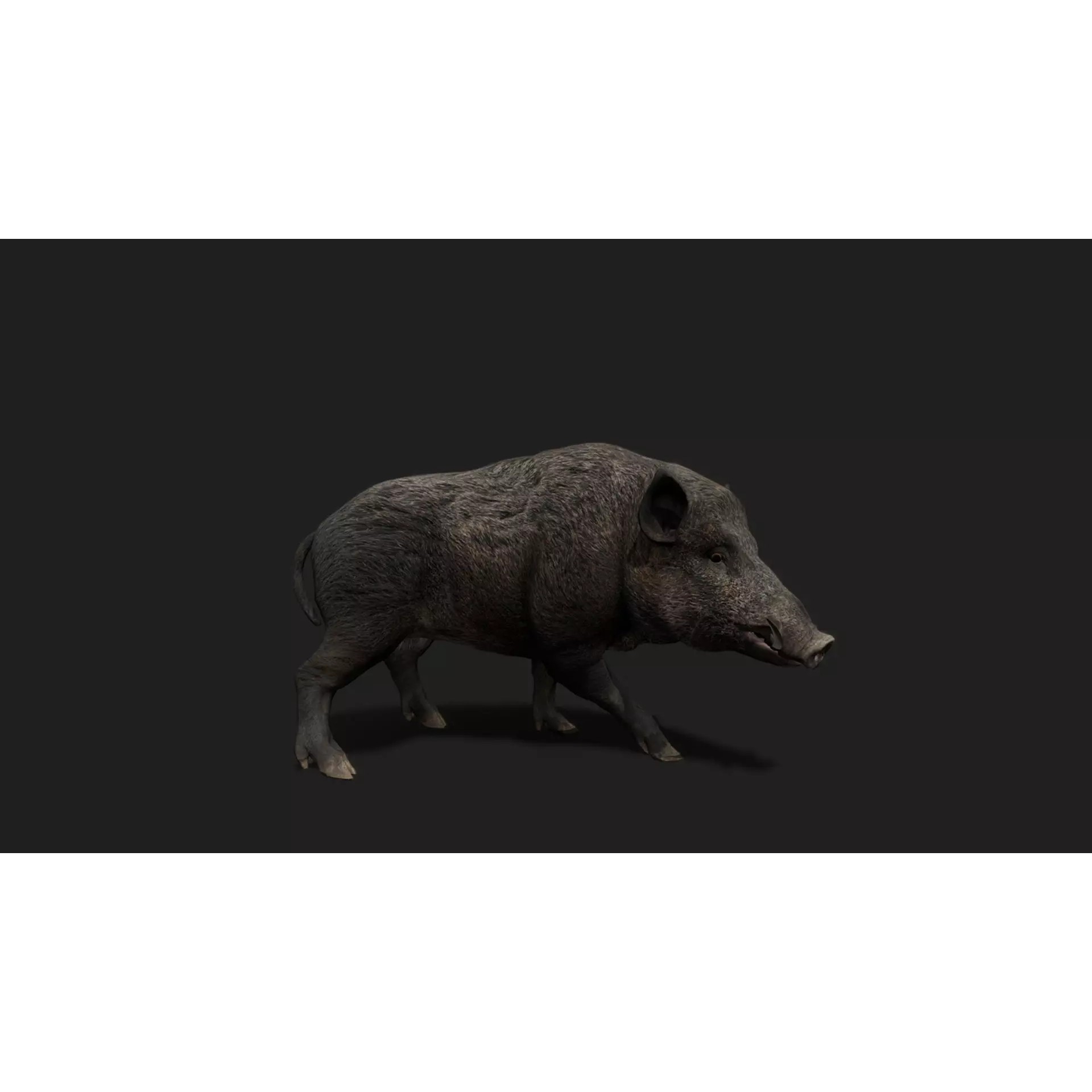 Ultimate 3D Animal Pack - Low-Poly Game-Ready 3D Model - View 12