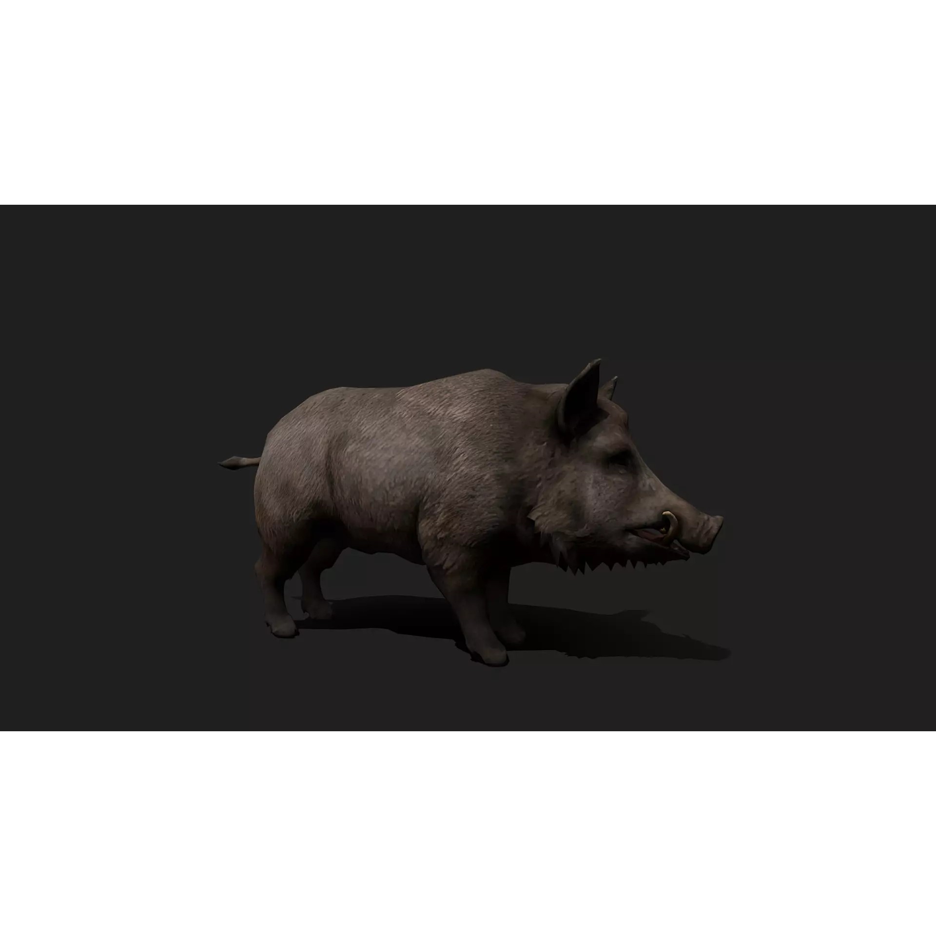 Ultimate 3D Animal Pack - Low-Poly Game-Ready 3D Model - View 13