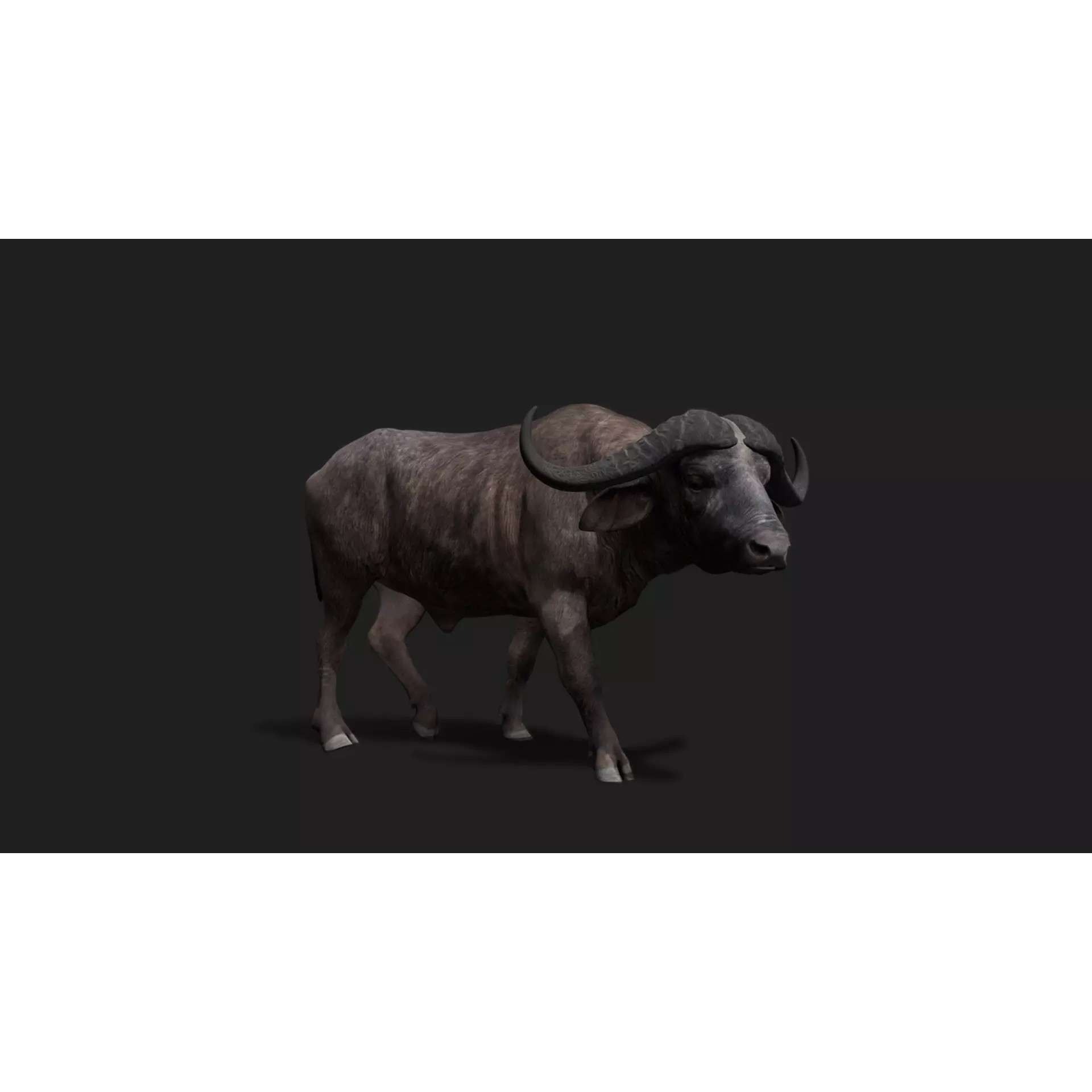 Ultimate 3D Animal Pack - Low-Poly Game-Ready 3D Model - View 14