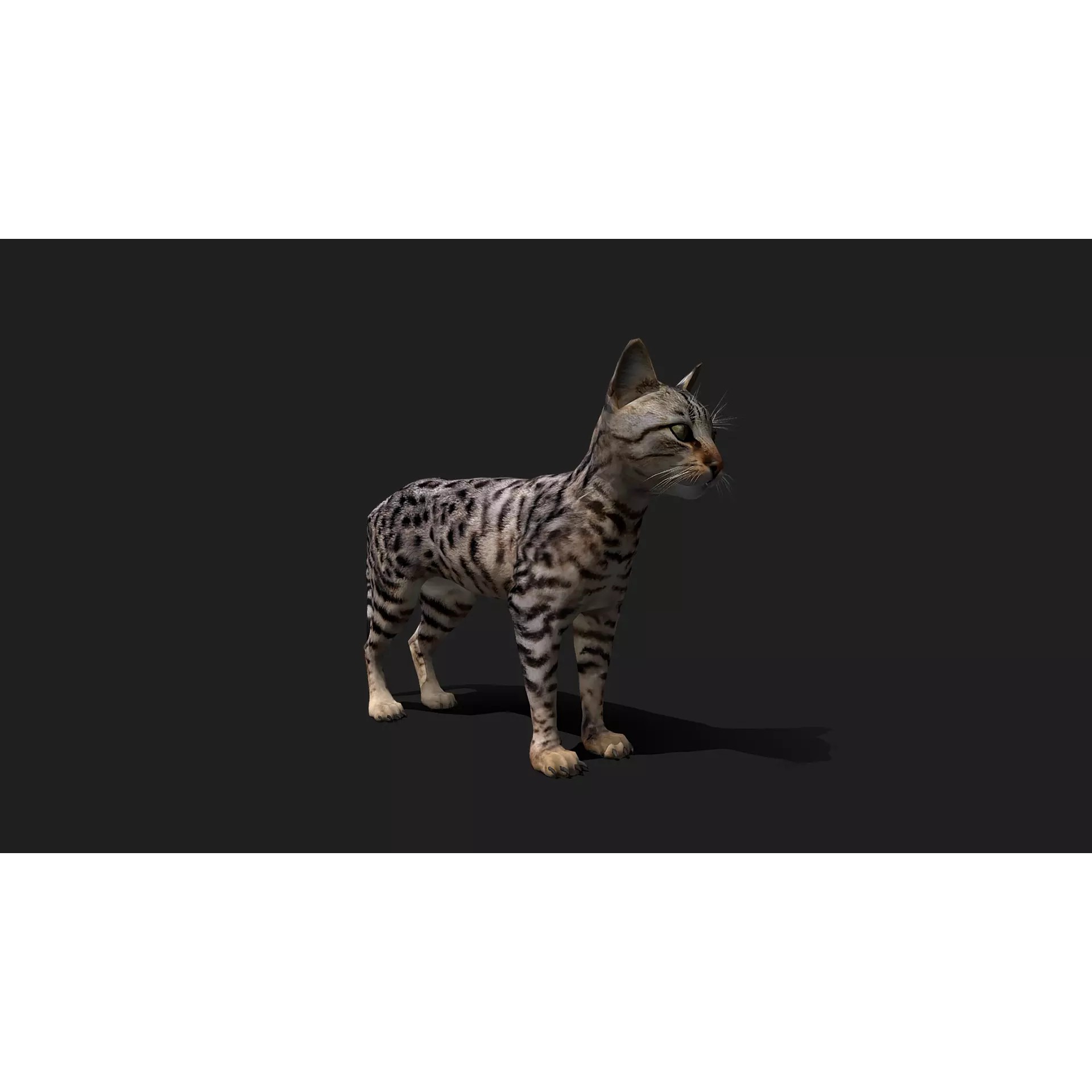 Ultimate 3D Animal Pack - Low-Poly Game-Ready 3D Model - View 16