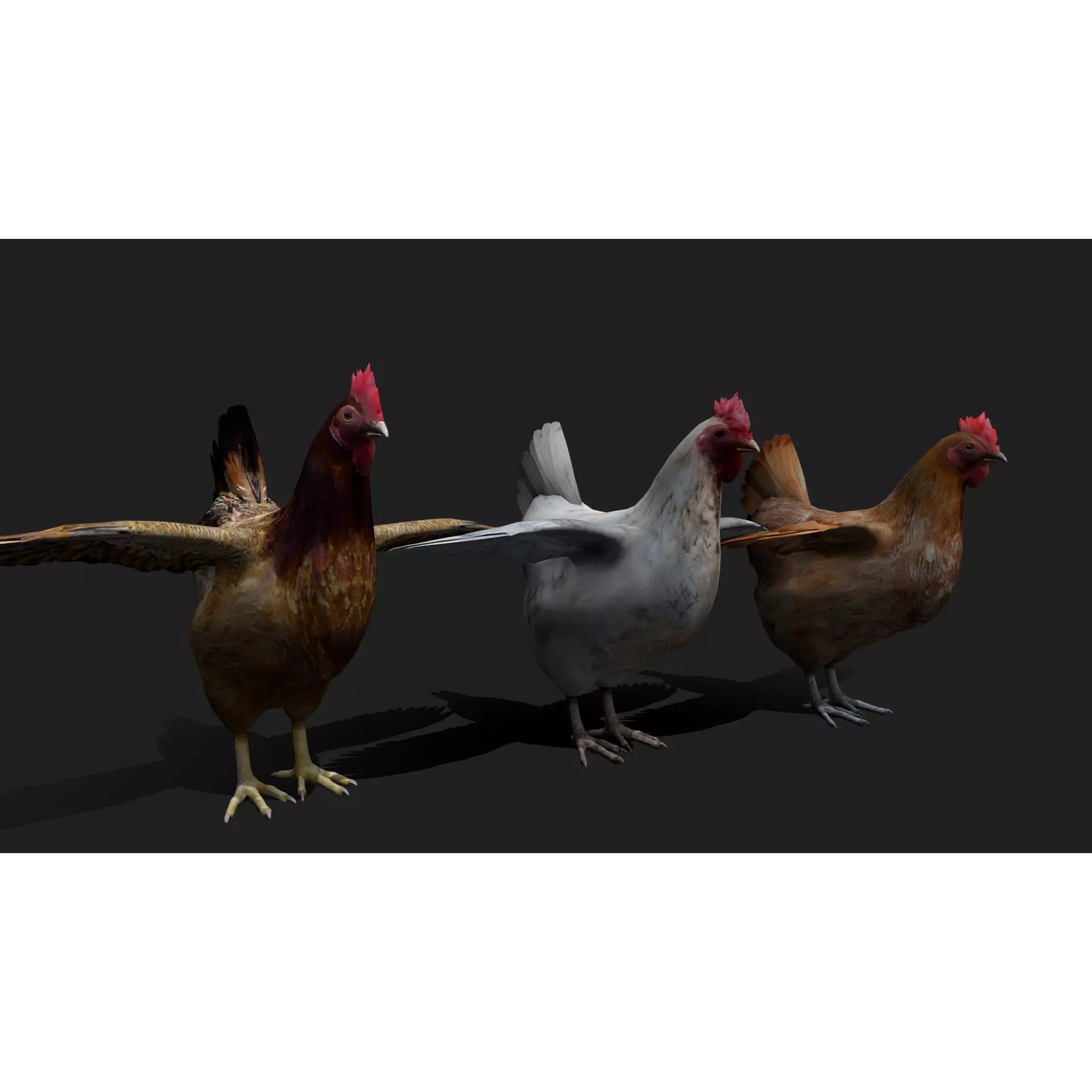 Ultimate 3D Animal Pack - Low-Poly Game-Ready 3D Model - View 17