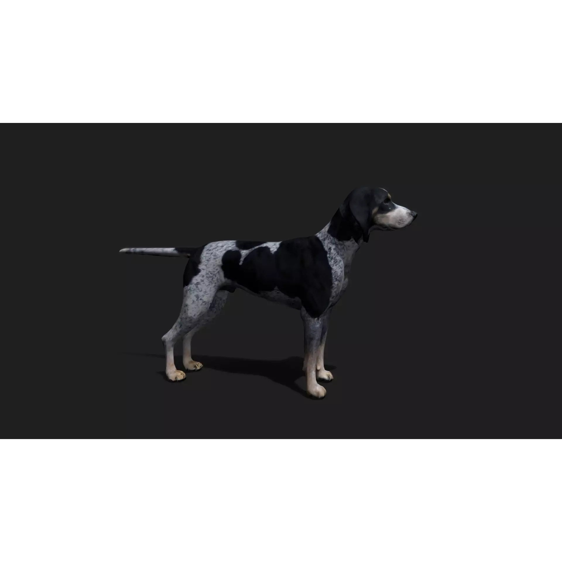 Ultimate 3D Animal Pack - Low-Poly Game-Ready 3D Model - View 28