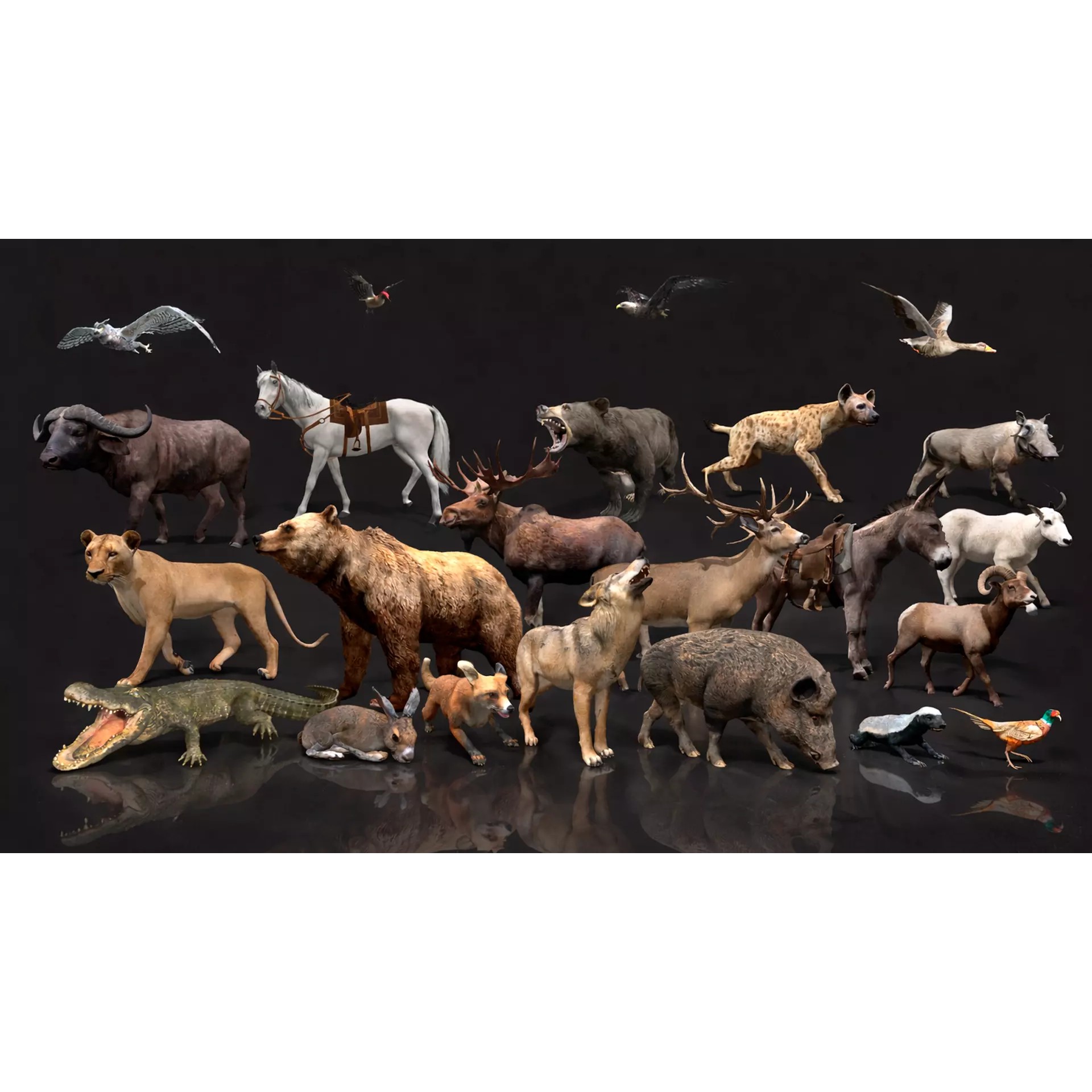 Ultimate 3D Animal Pack - Low-Poly Game-Ready 3D Model - View 3