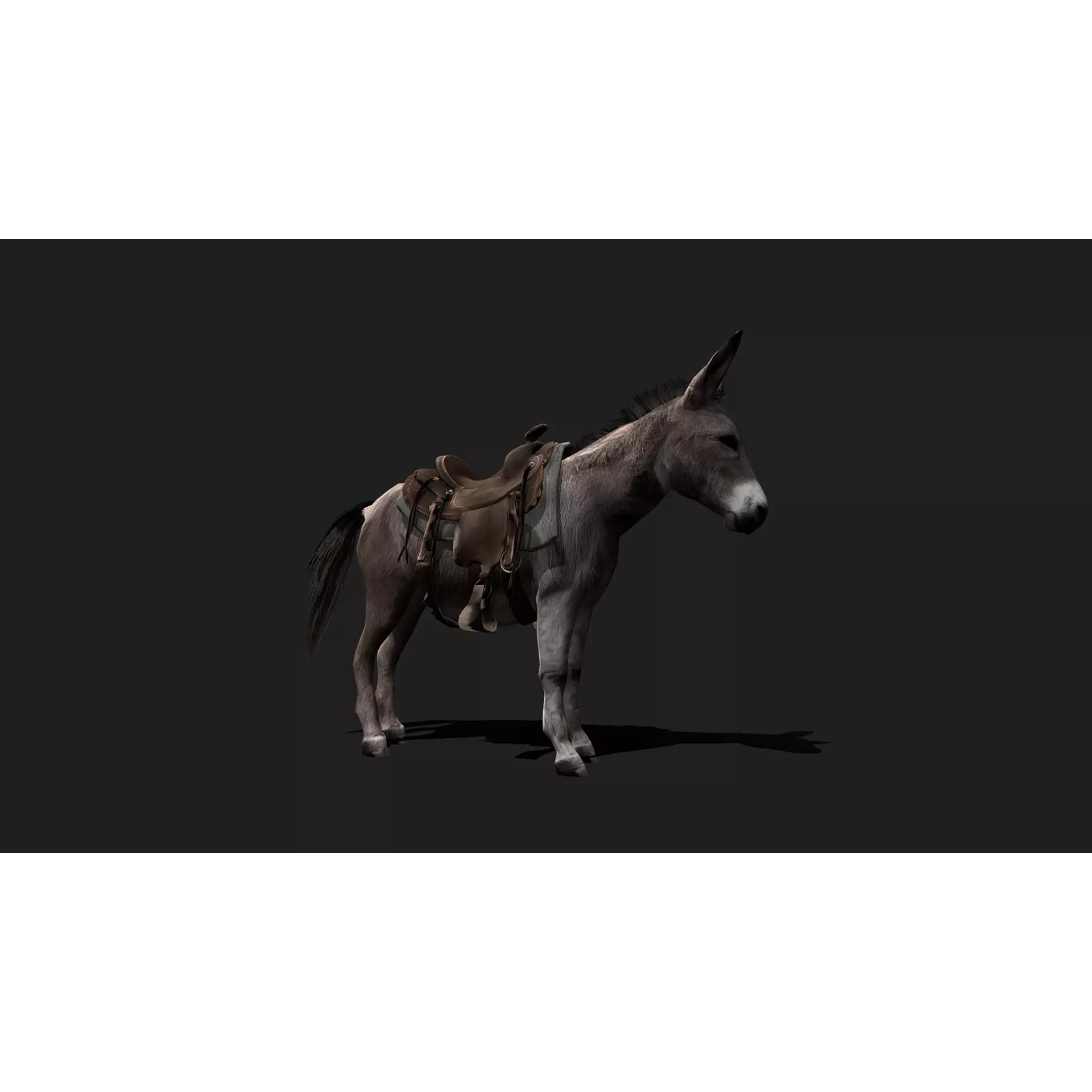 Ultimate 3D Animal Pack - Low-Poly Game-Ready 3D Model - View 30