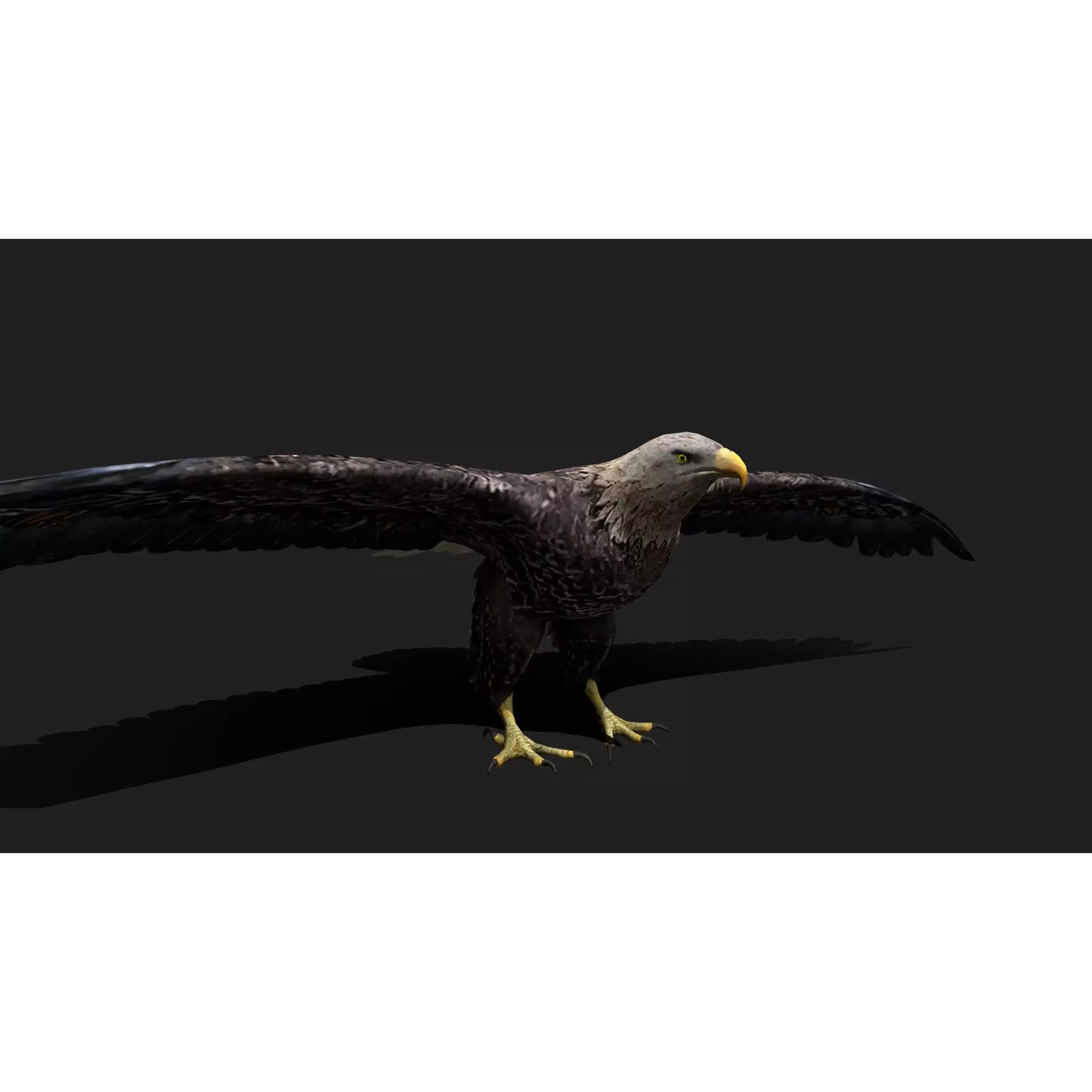 Ultimate 3D Animal Pack - Low-Poly Game-Ready 3D Model - View 31