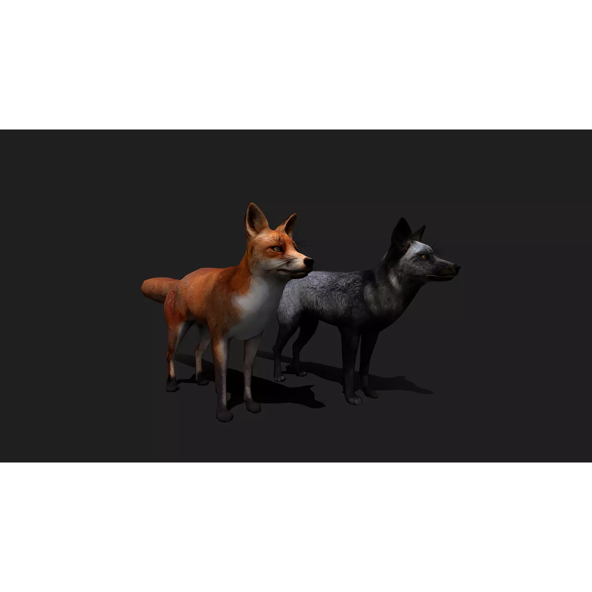 Ultimate 3D Animal Pack - Low-Poly Game-Ready 3D Model - View 36
