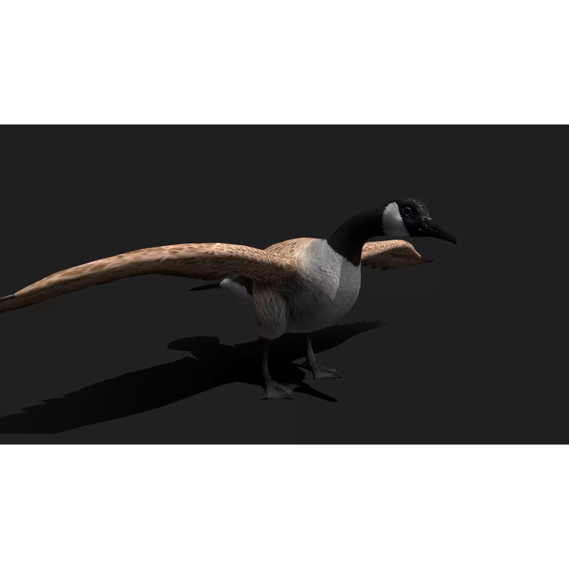 Ultimate 3D Animal Pack - Low-Poly Game-Ready 3D Model - View 38