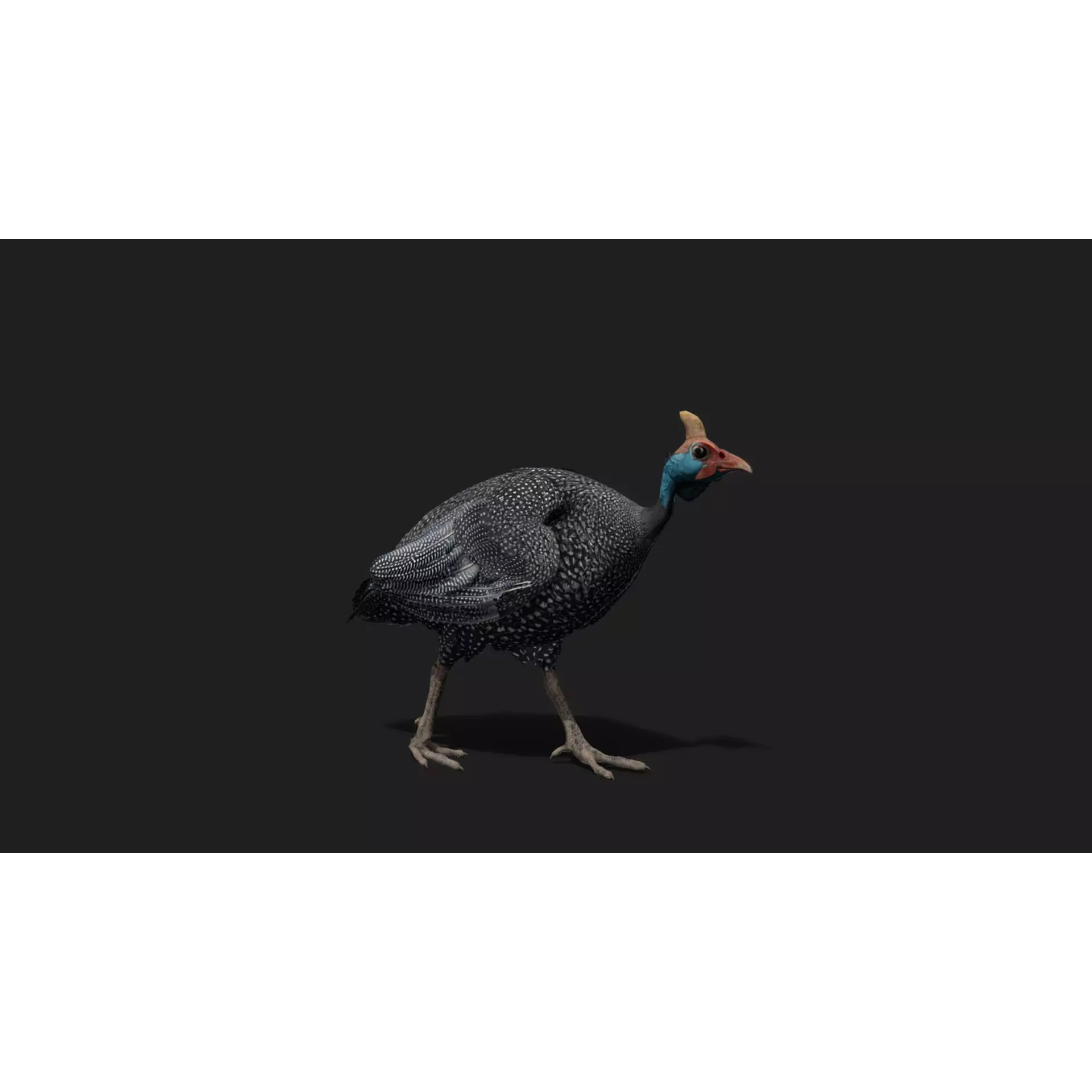 Ultimate 3D Animal Pack - Low-Poly Game-Ready 3D Model - View 39