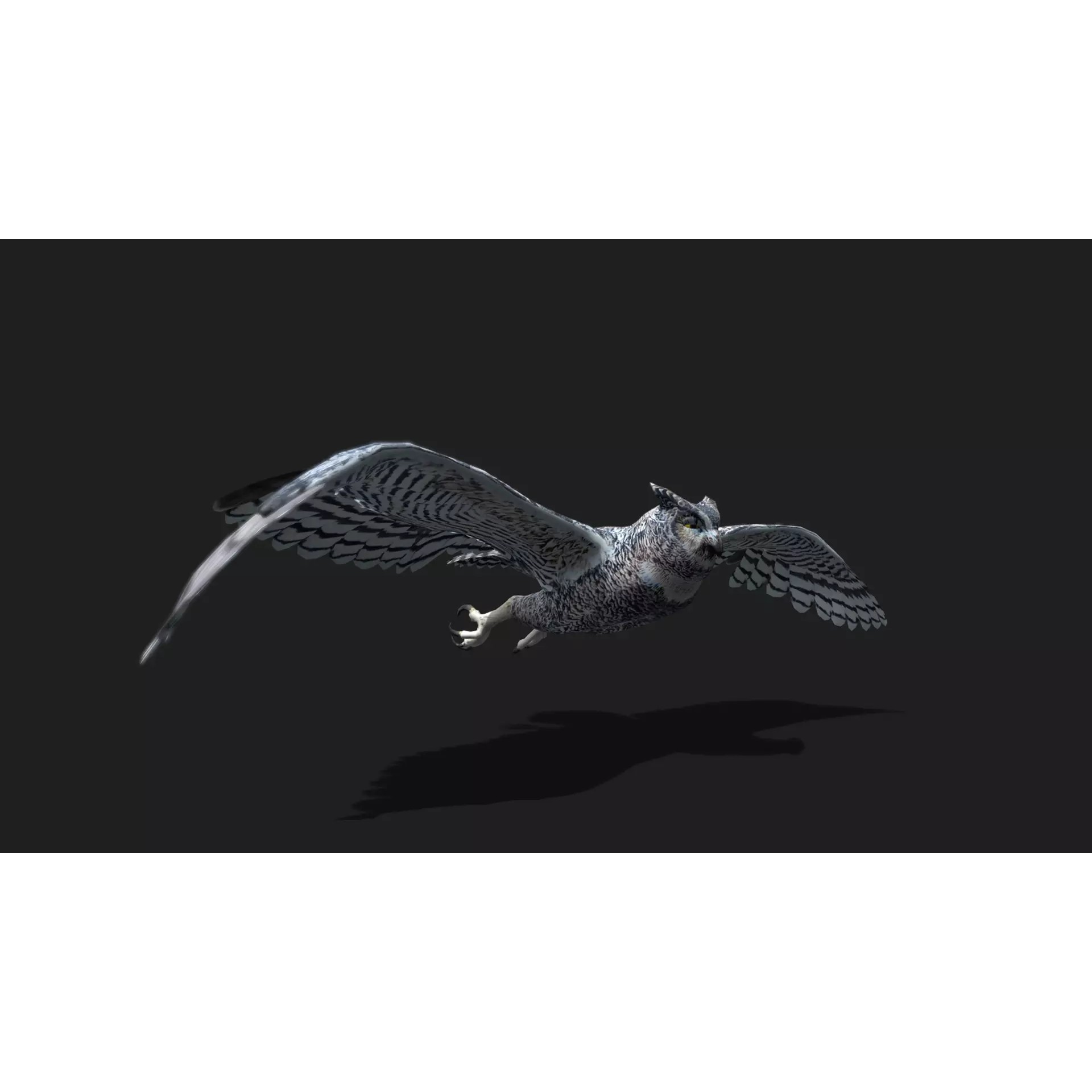 Ultimate 3D Animal Pack - Low-Poly Game-Ready 3D Model - View 50