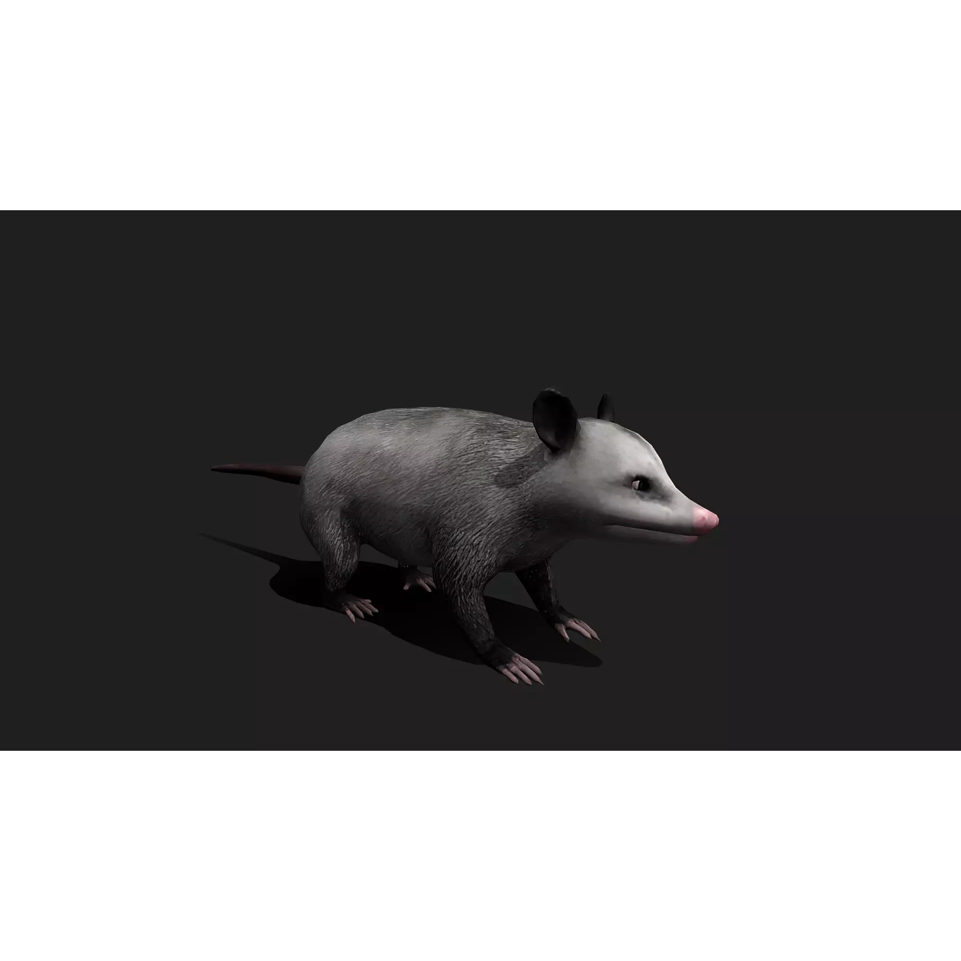 Ultimate 3D Animal Pack - Low-Poly Game-Ready 3D Model - View 54