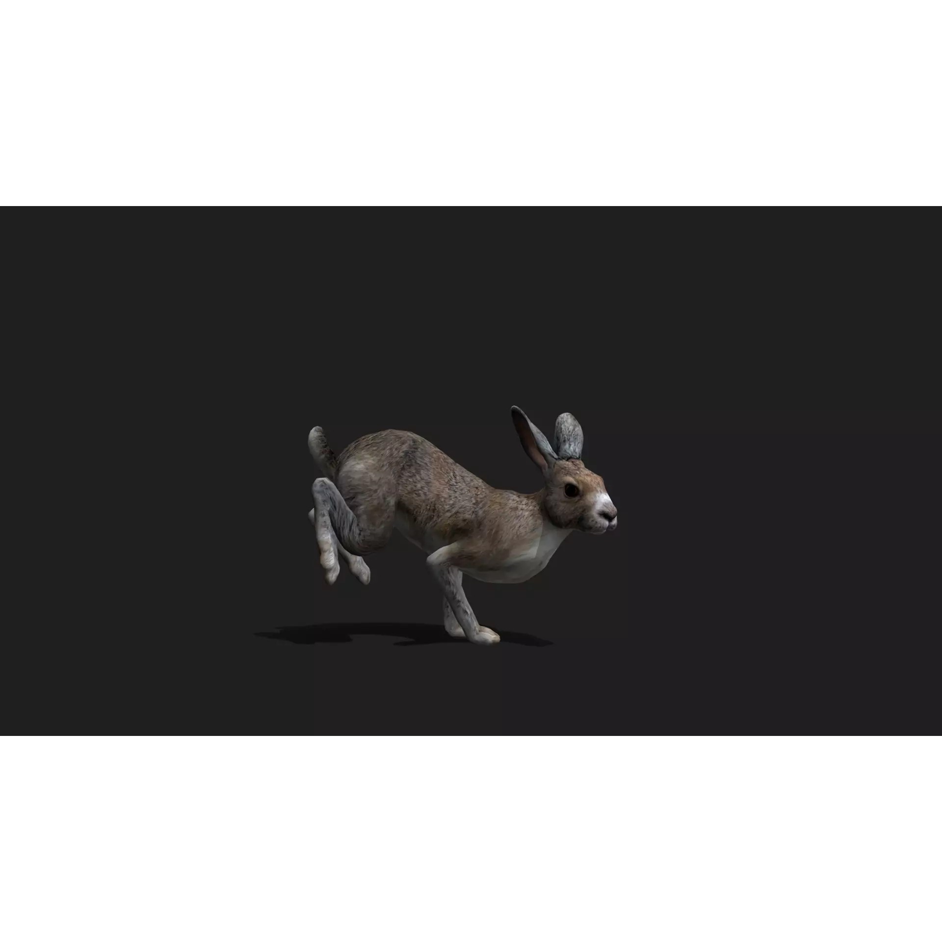 Ultimate 3D Animal Pack - Low-Poly Game-Ready 3D Model - View 56