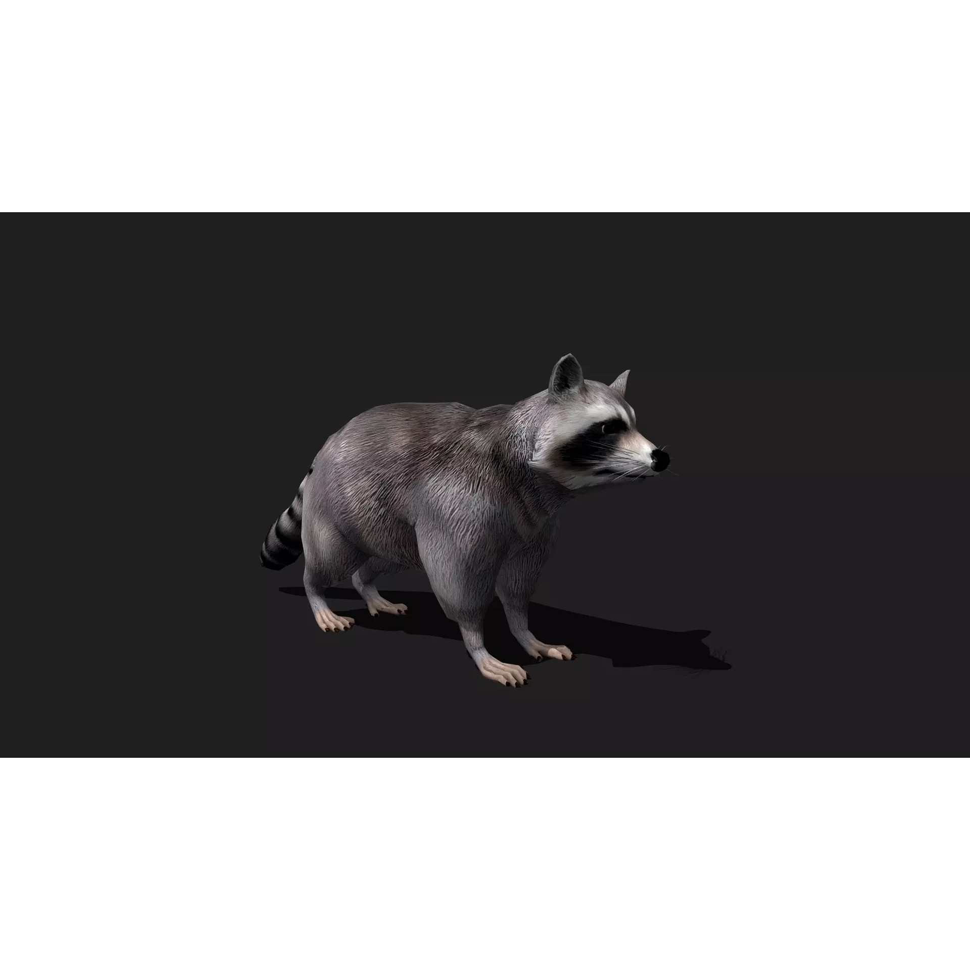 Ultimate 3D Animal Pack - Low-Poly Game-Ready 3D Model - View 57