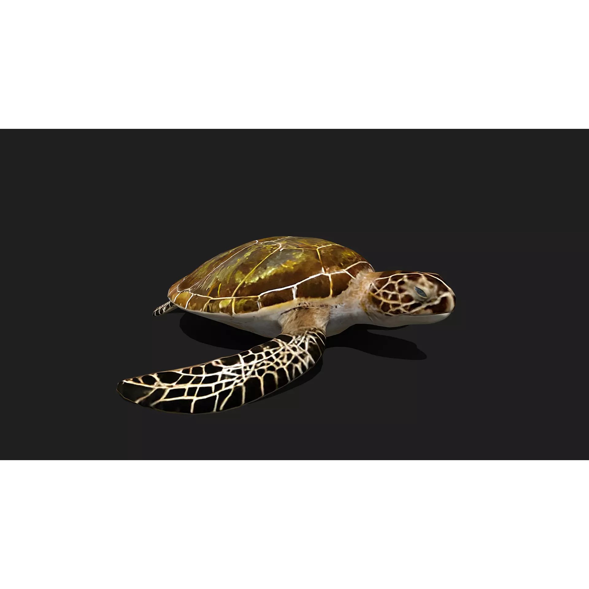 Ultimate 3D Animal Pack - Low-Poly Game-Ready 3D Model - View 66