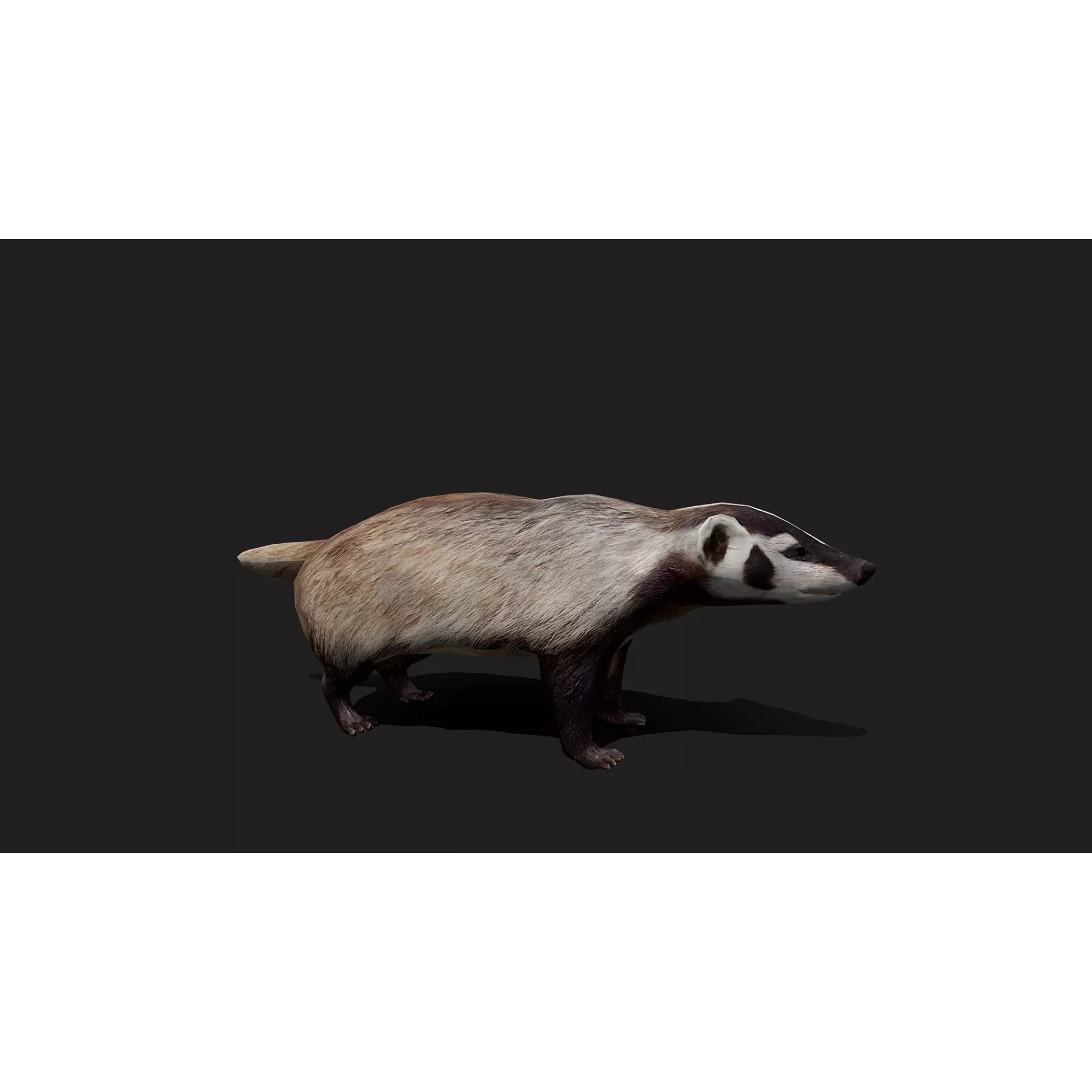 Ultimate 3D Animal Pack - Low-Poly Game-Ready 3D Model - View 7