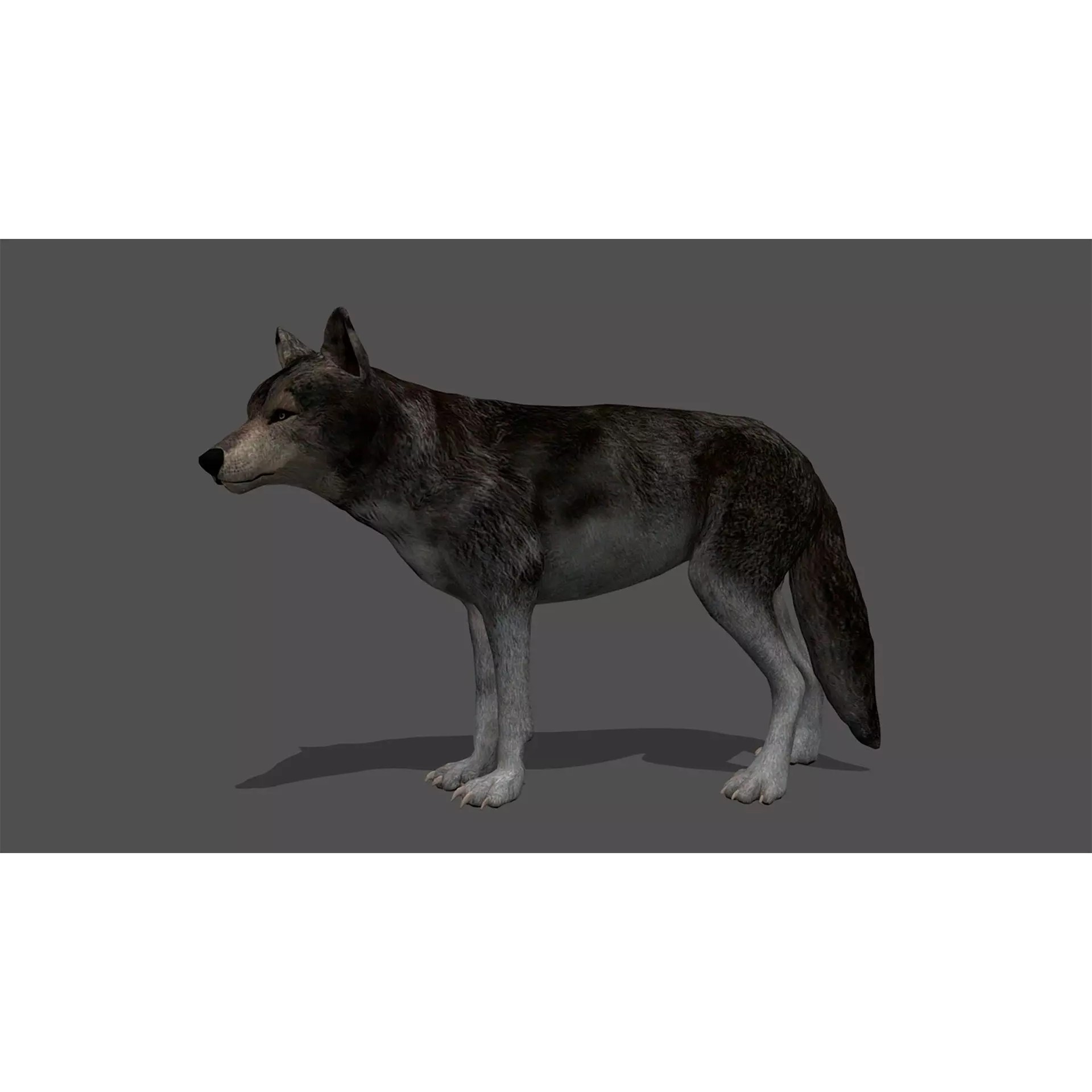 Ultimate 3D Animal Pack - Low-Poly Game-Ready 3D Model - View 72