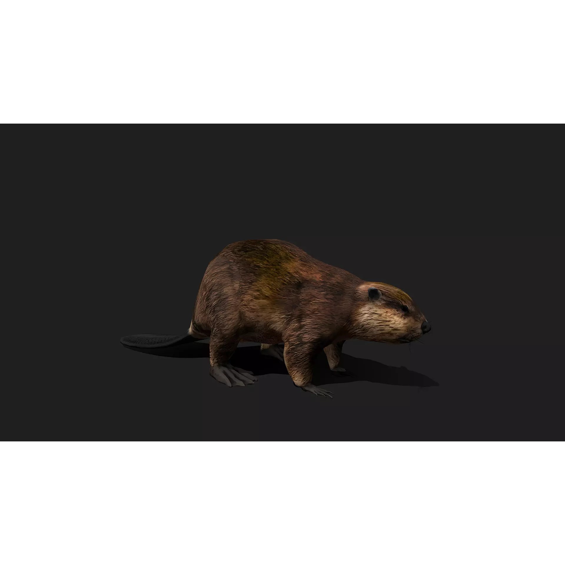 Ultimate 3D Animal Pack - Low-Poly Game-Ready 3D Model - View 8