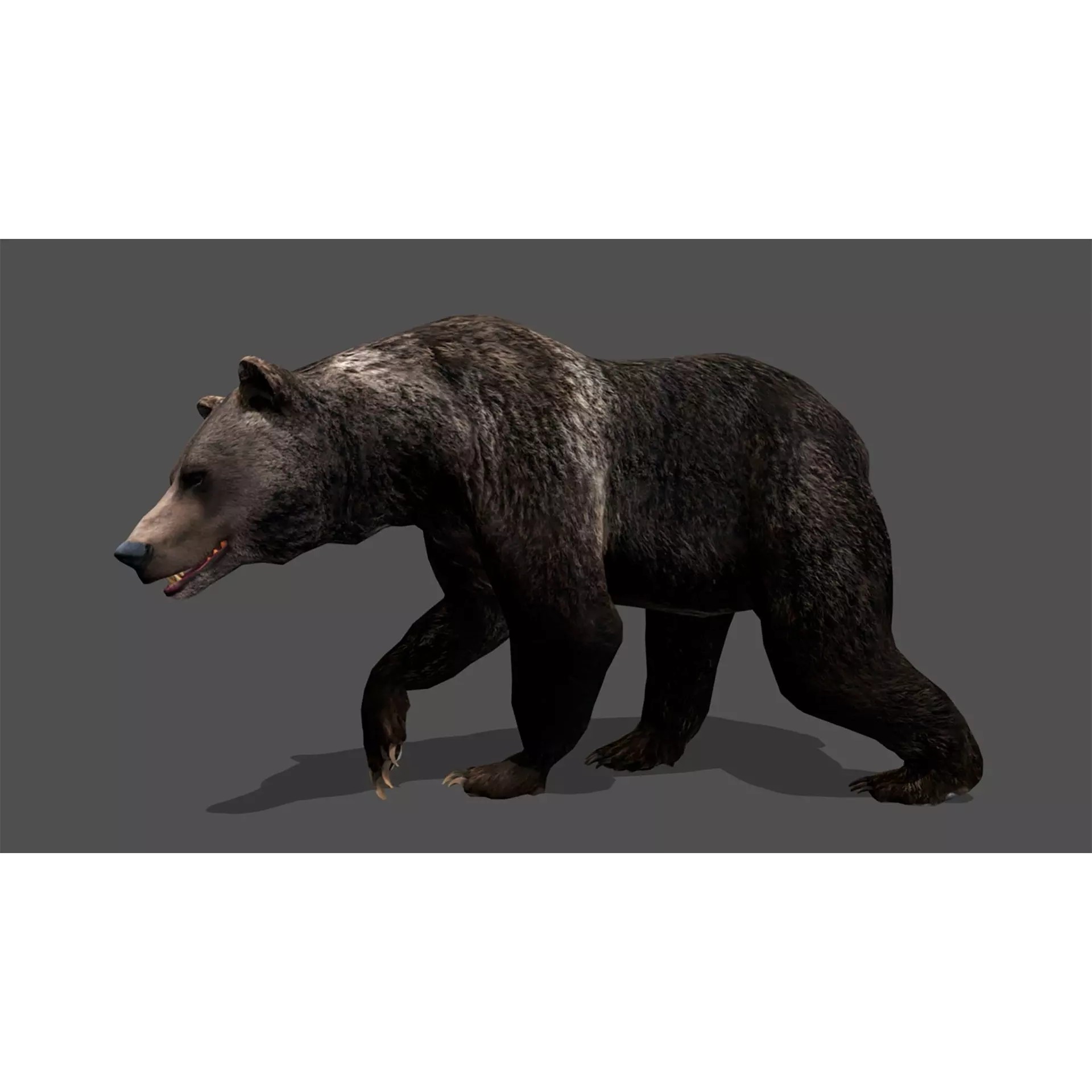 Ultimate 3D Animal Pack - Low-Poly Game-Ready 3D Model - View 88