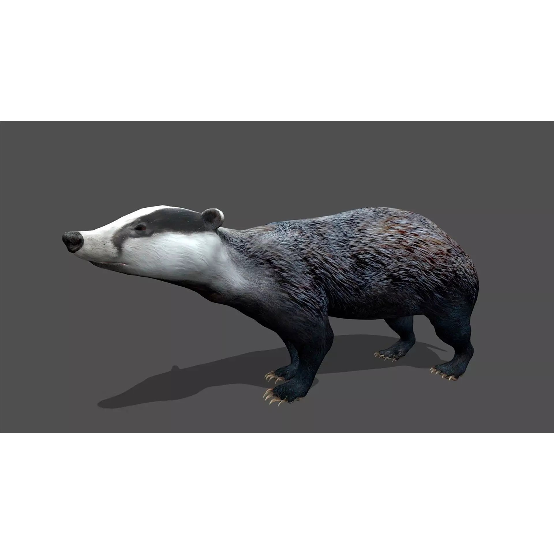 Ultimate 3D Animal Pack - Low-Poly Game-Ready 3D Model - View 89