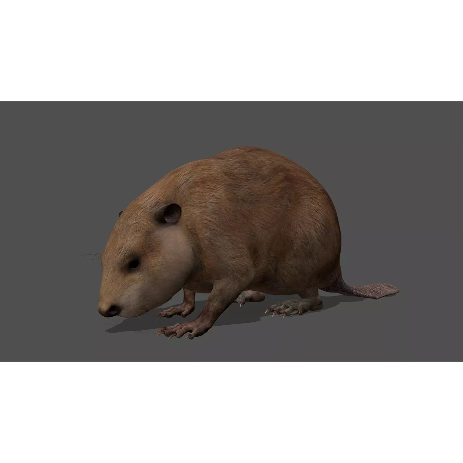 Ultimate 3D Animal Pack - Low-Poly Game-Ready 3D Model - View 95
