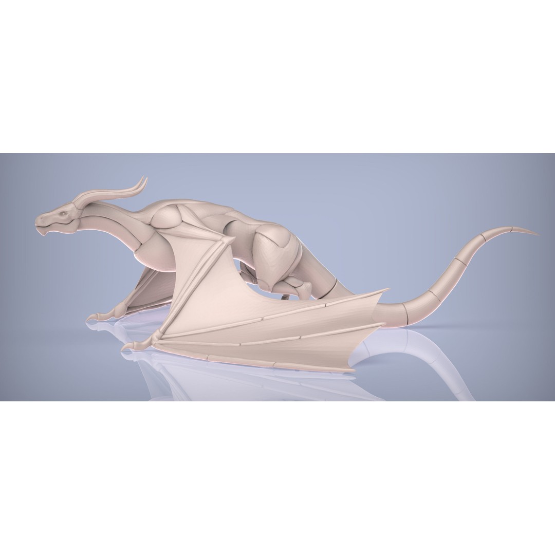 Dragon and Wyvern 3D Model – Low Poly Base Meshes, FBX & OBJ Formats