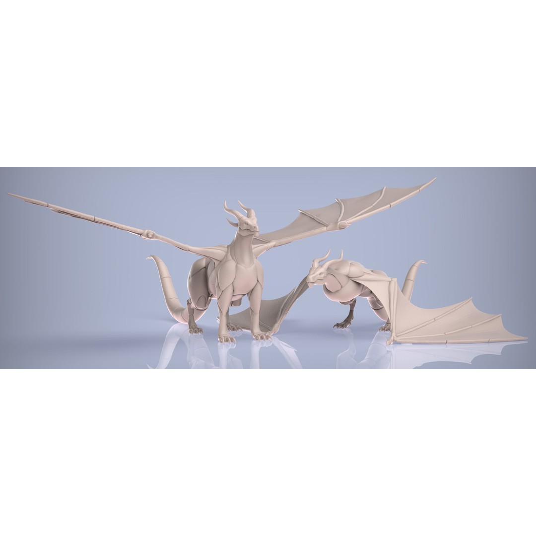Dragon and Wyvern 3D Model – Low Poly Base Meshes, FBX & OBJ Formats - View 3