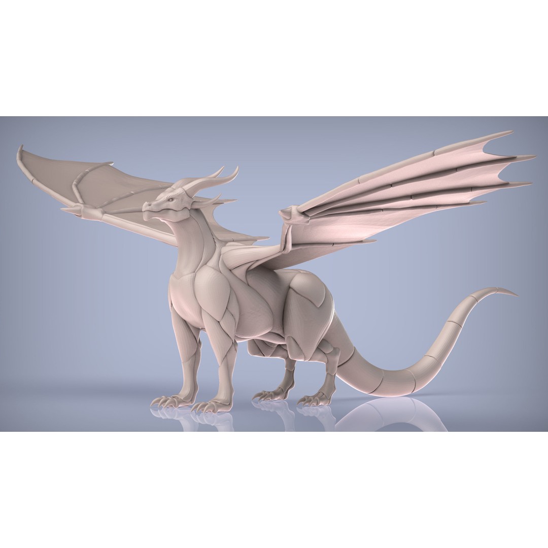 Dragon and Wyvern 3D Model – Low Poly Base Meshes, FBX & OBJ Formats - View 5
