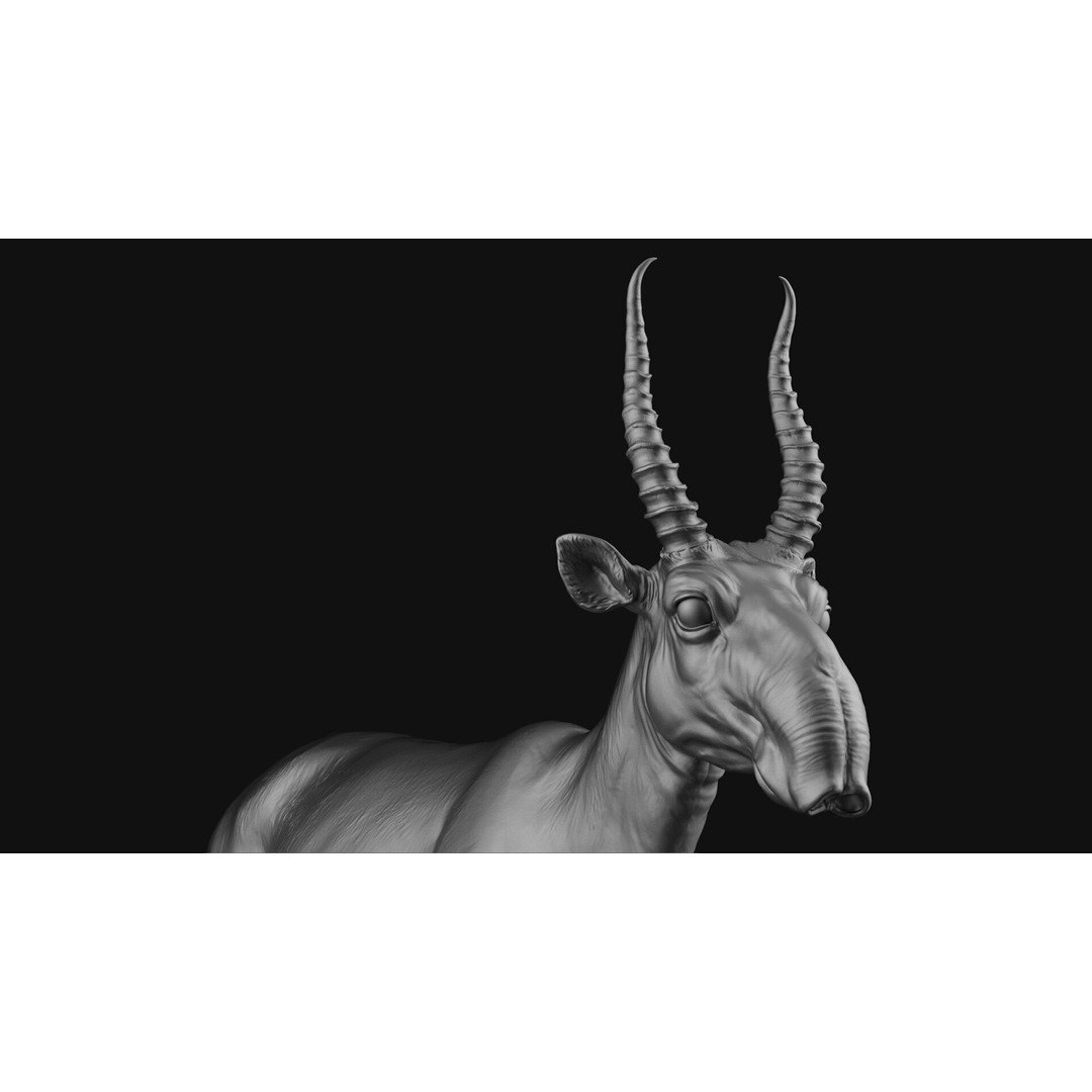 Saiga 3D Model – High Poly T-Pose, FBX and OBJ Formats