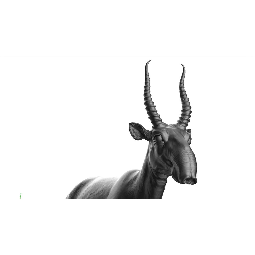 Saiga 3D Model – High Poly T-Pose, FBX and OBJ Formats - View 11