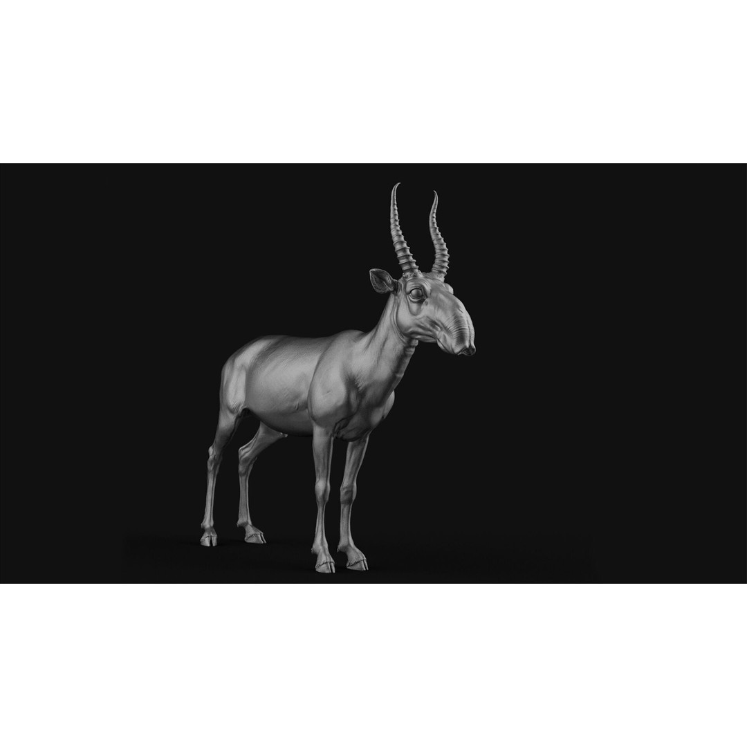 Saiga 3D Model – High Poly T-Pose, FBX and OBJ Formats - View 14