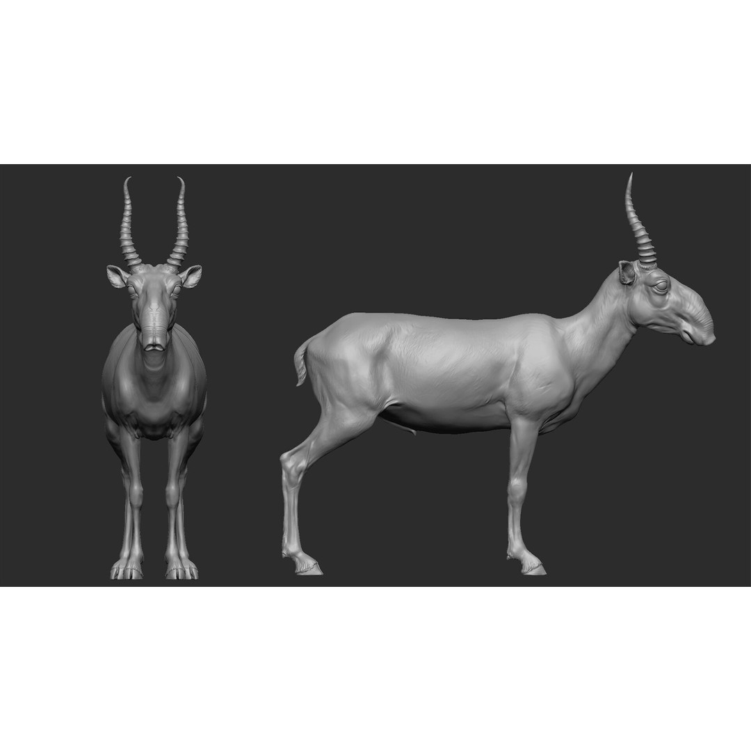 Saiga 3D Model – High Poly T-Pose, FBX and OBJ Formats - View 3