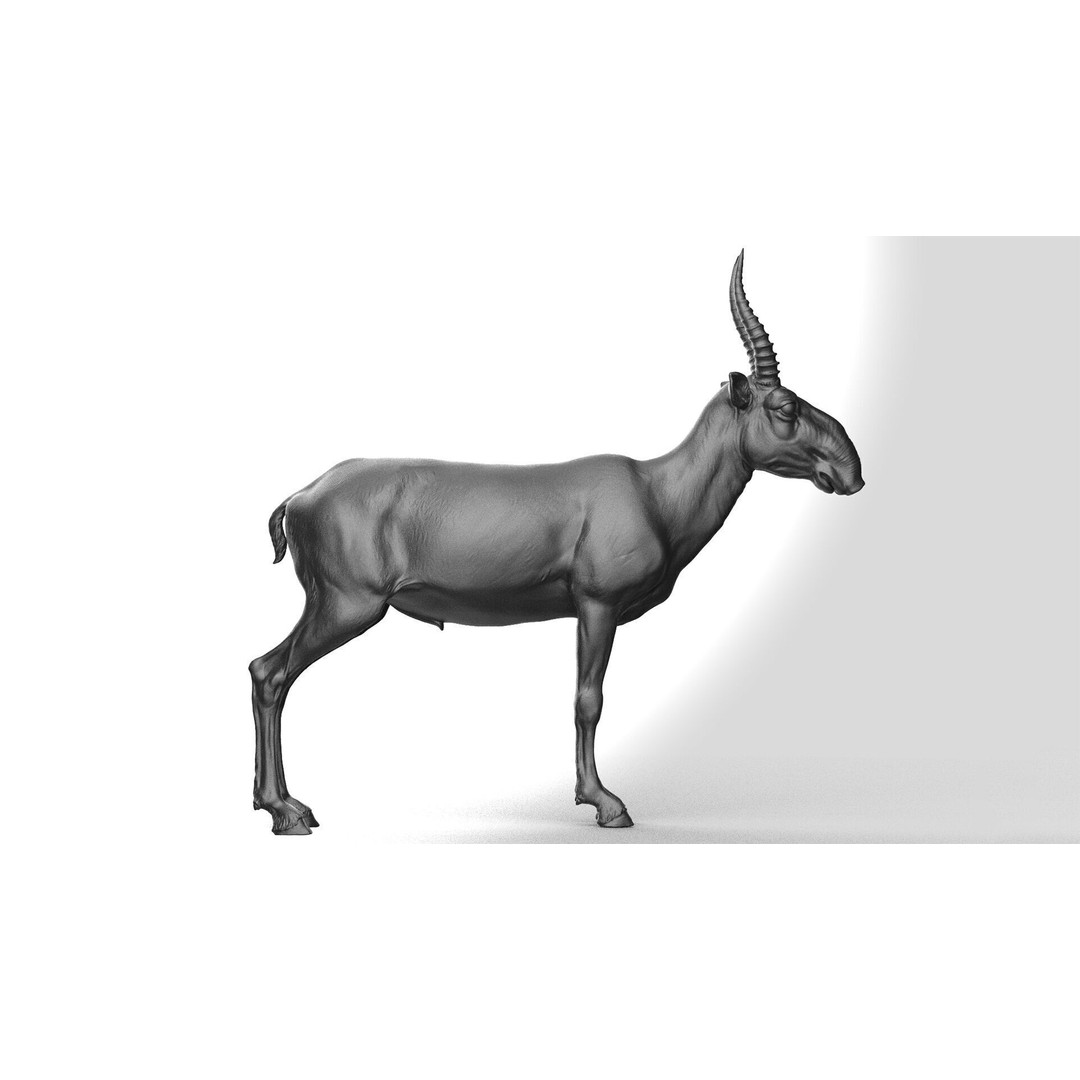 Saiga 3D Model – High Poly T-Pose, FBX and OBJ Formats - View 4