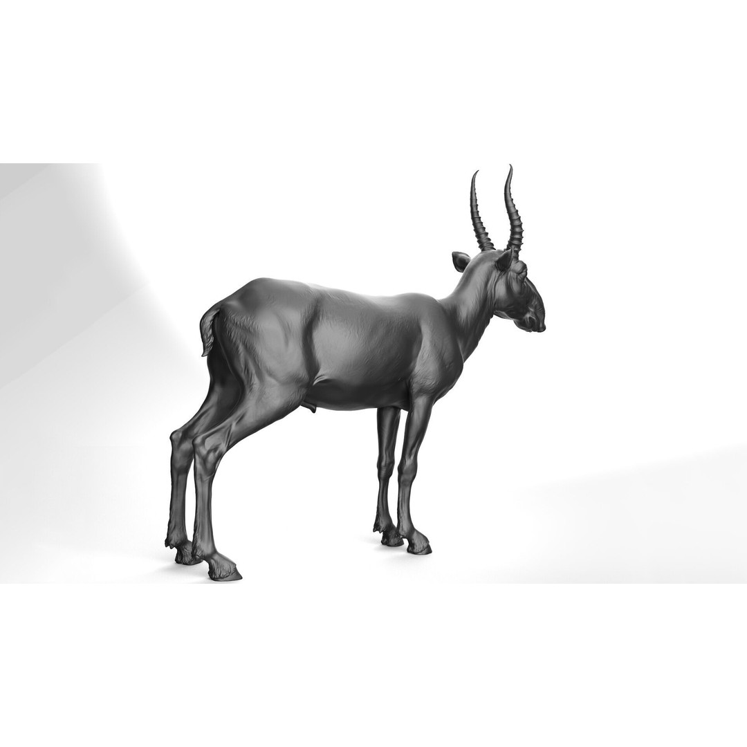 Saiga 3D Model – High Poly T-Pose, FBX and OBJ Formats - View 5
