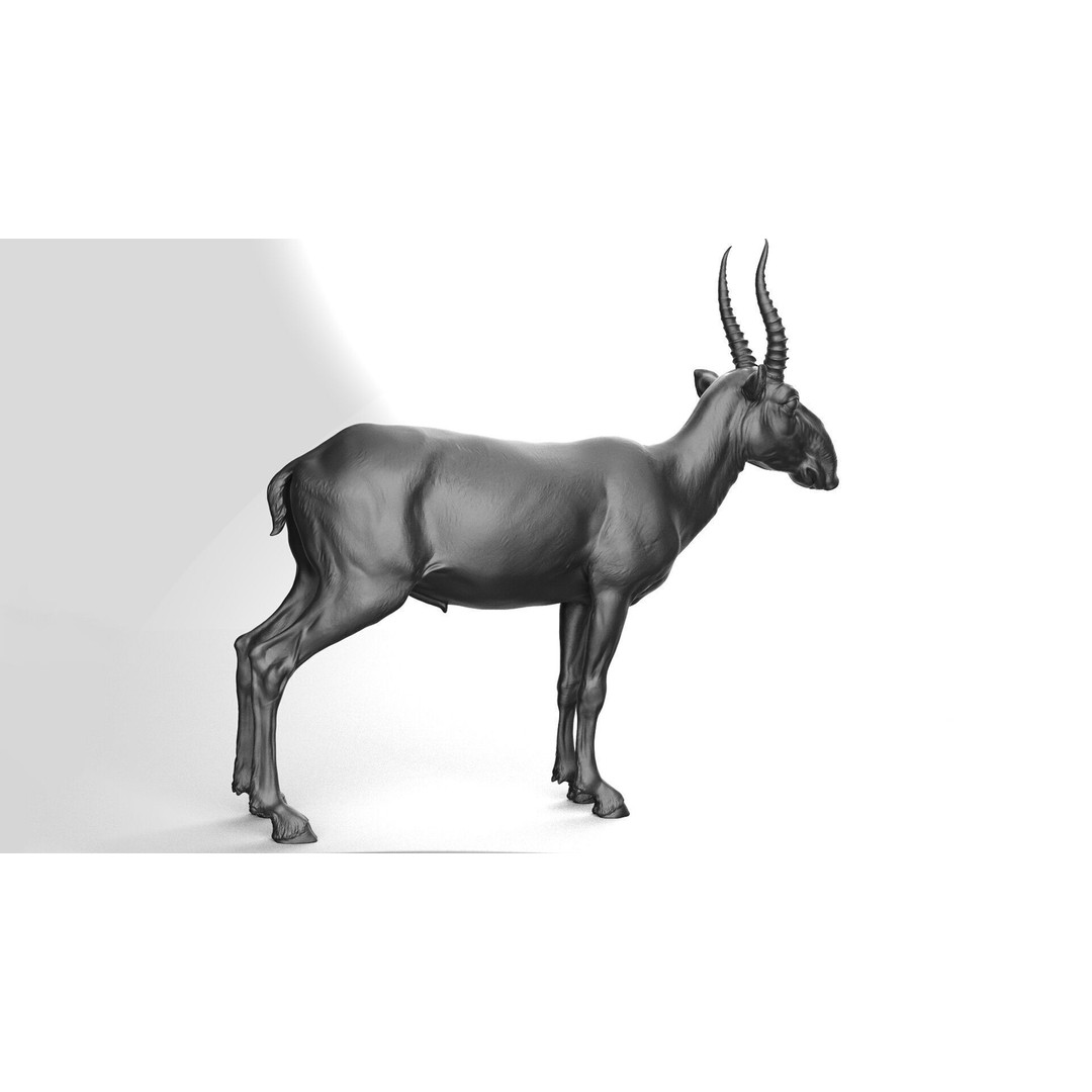Saiga 3D Model – High Poly T-Pose, FBX and OBJ Formats - View 6