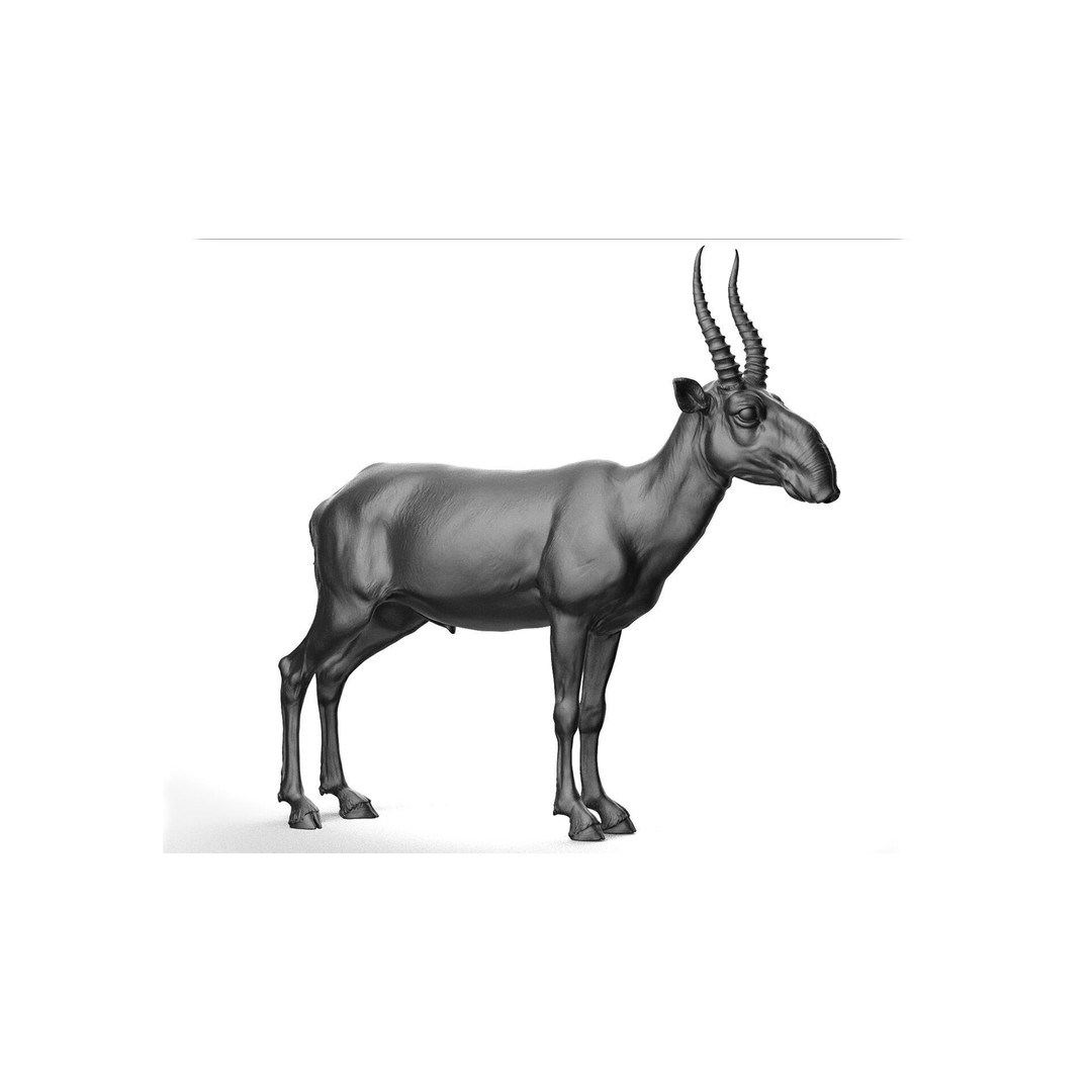 Saiga 3D Model – High Poly T-Pose, FBX and OBJ Formats - View 7