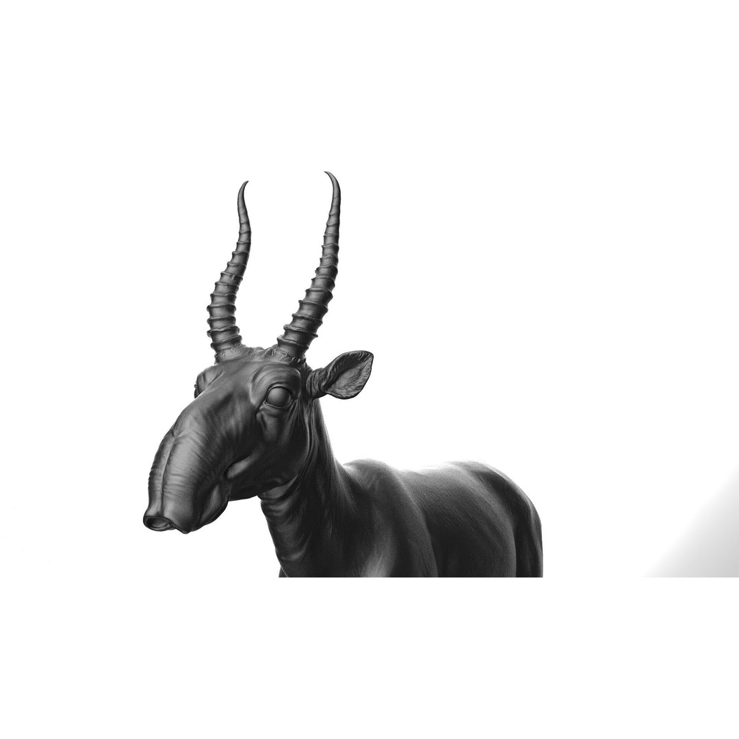 Saiga 3D Model – High Poly T-Pose, FBX and OBJ Formats - View 9